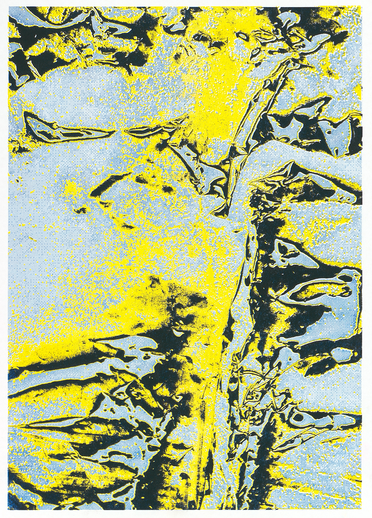 Alen Berlot x FUJITA PINNACLE (appointMENT 6.0)