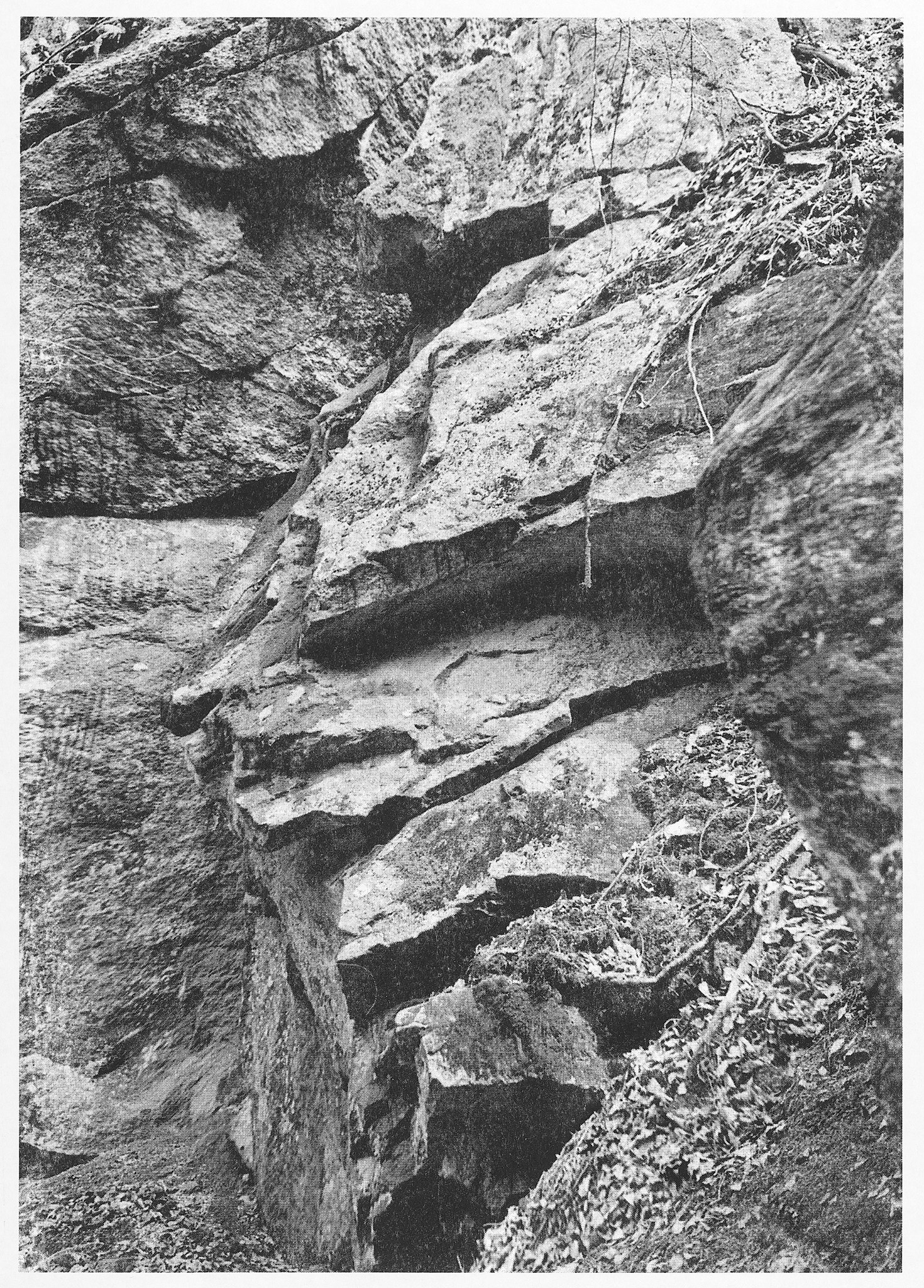 Eros Brajko x CID RIM (appointMENT 6.0)