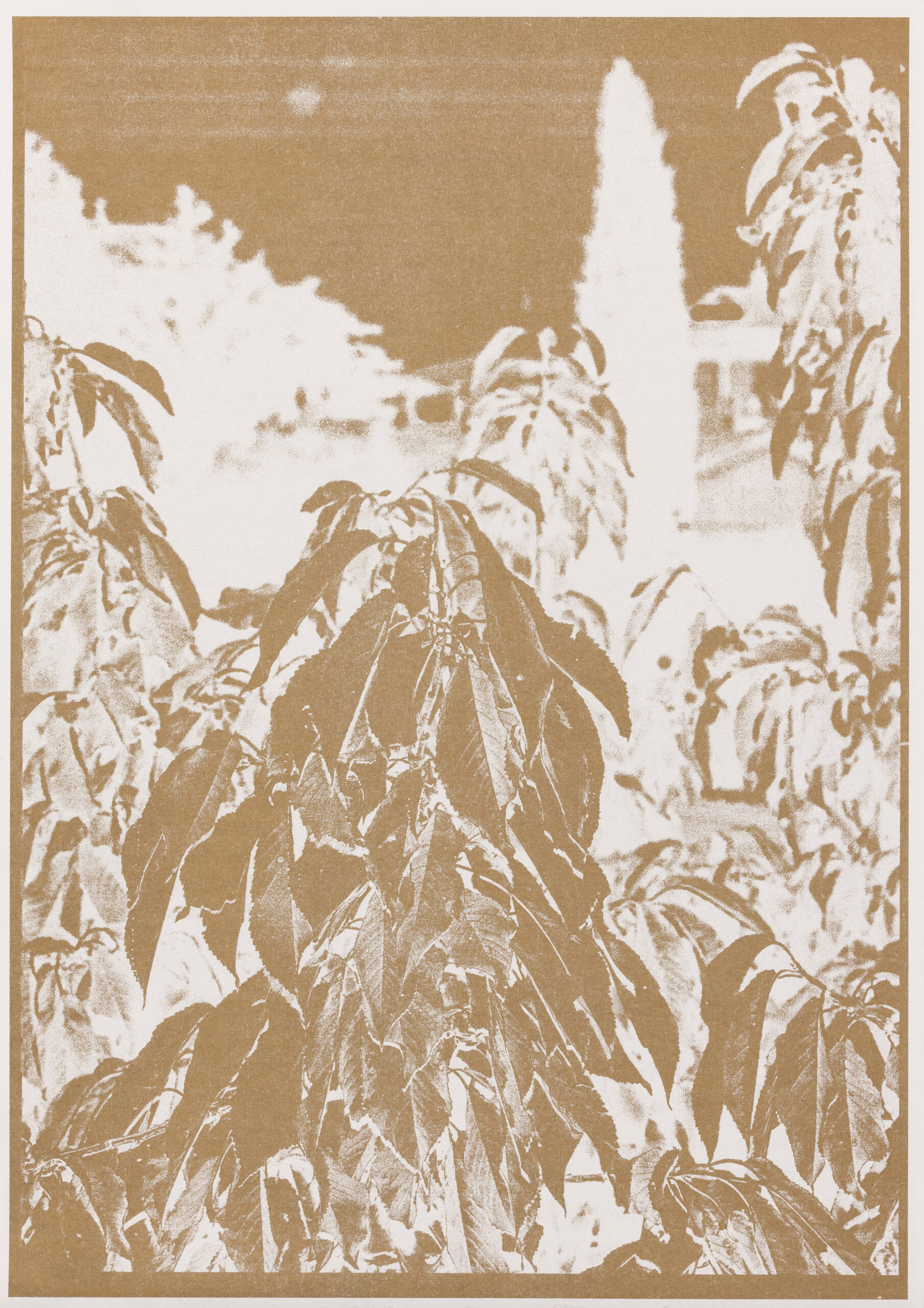 Eva Bevec: Večer v Kopru