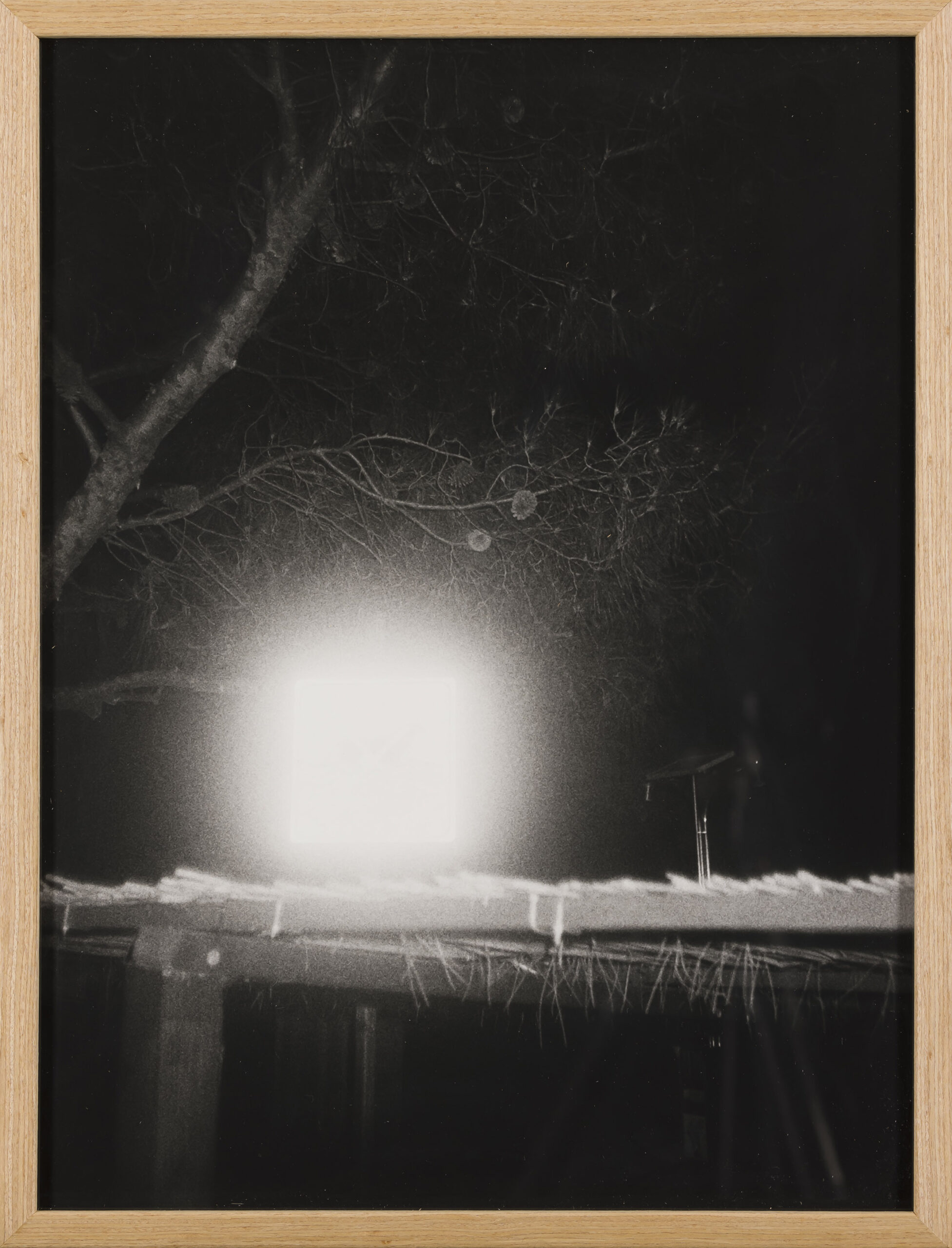 Iva Suhadolnik Gregorin: Poletje na Krku (z okvirjem)