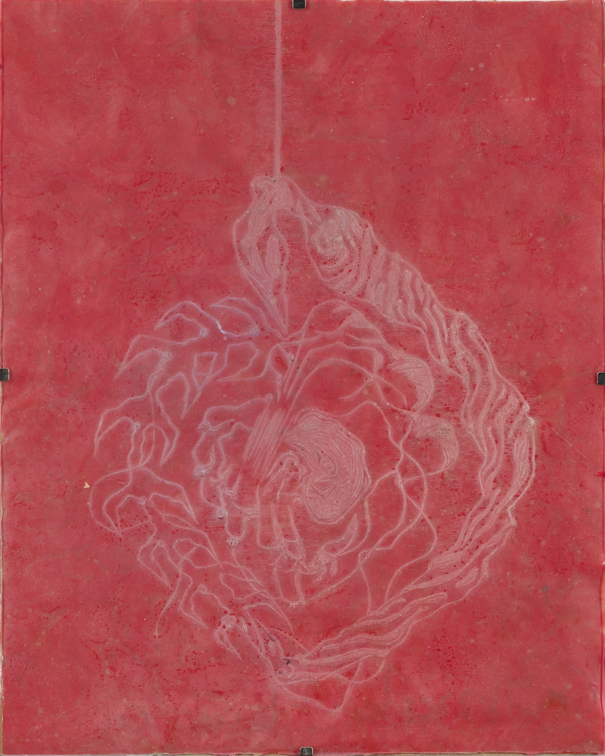 Sara Skenderija: Zomi y (z okvirjem)