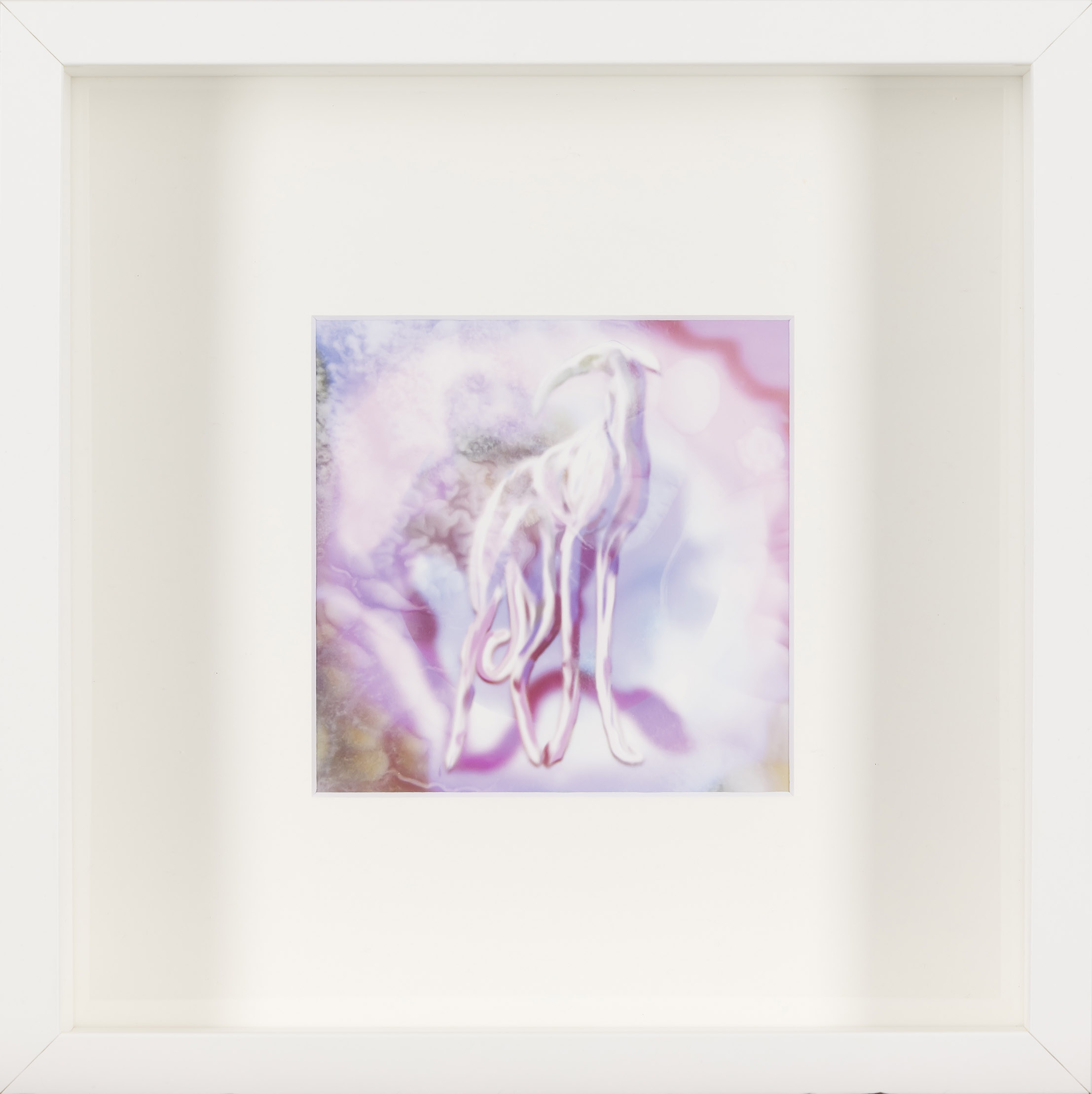 Eva Popit: Luka Dončić (z okvirjem)