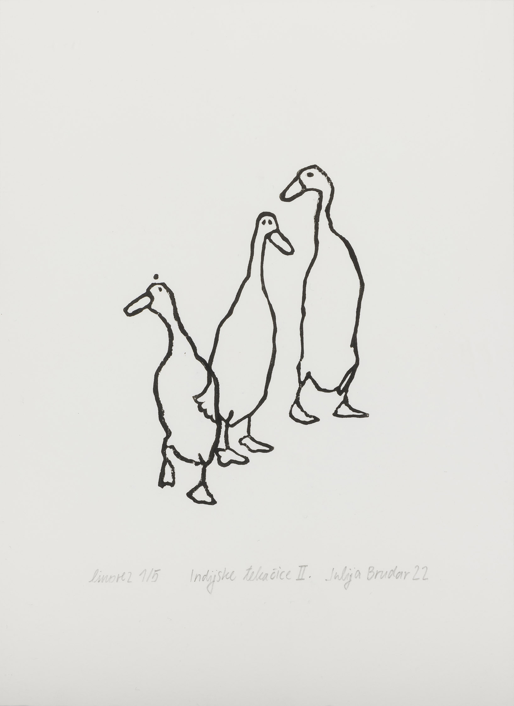 Julija Brudar: Indijske tekačice II