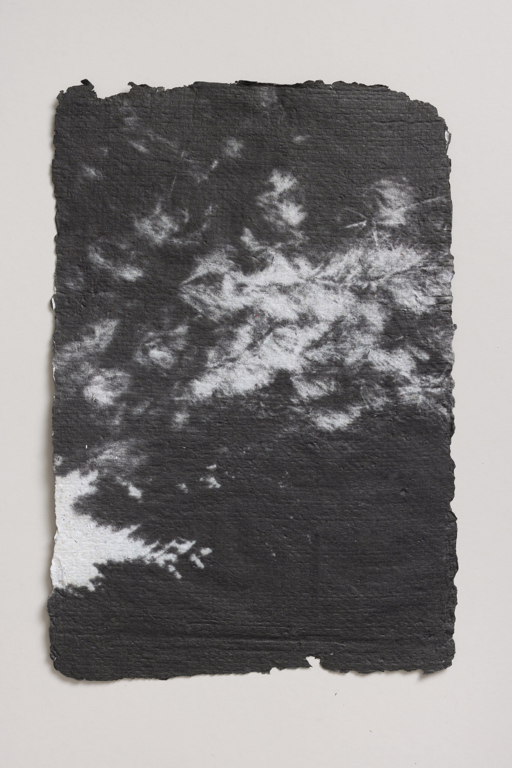 Žan Gašperič: RAZISKOVANJA SVETE PREPROSTOSTI