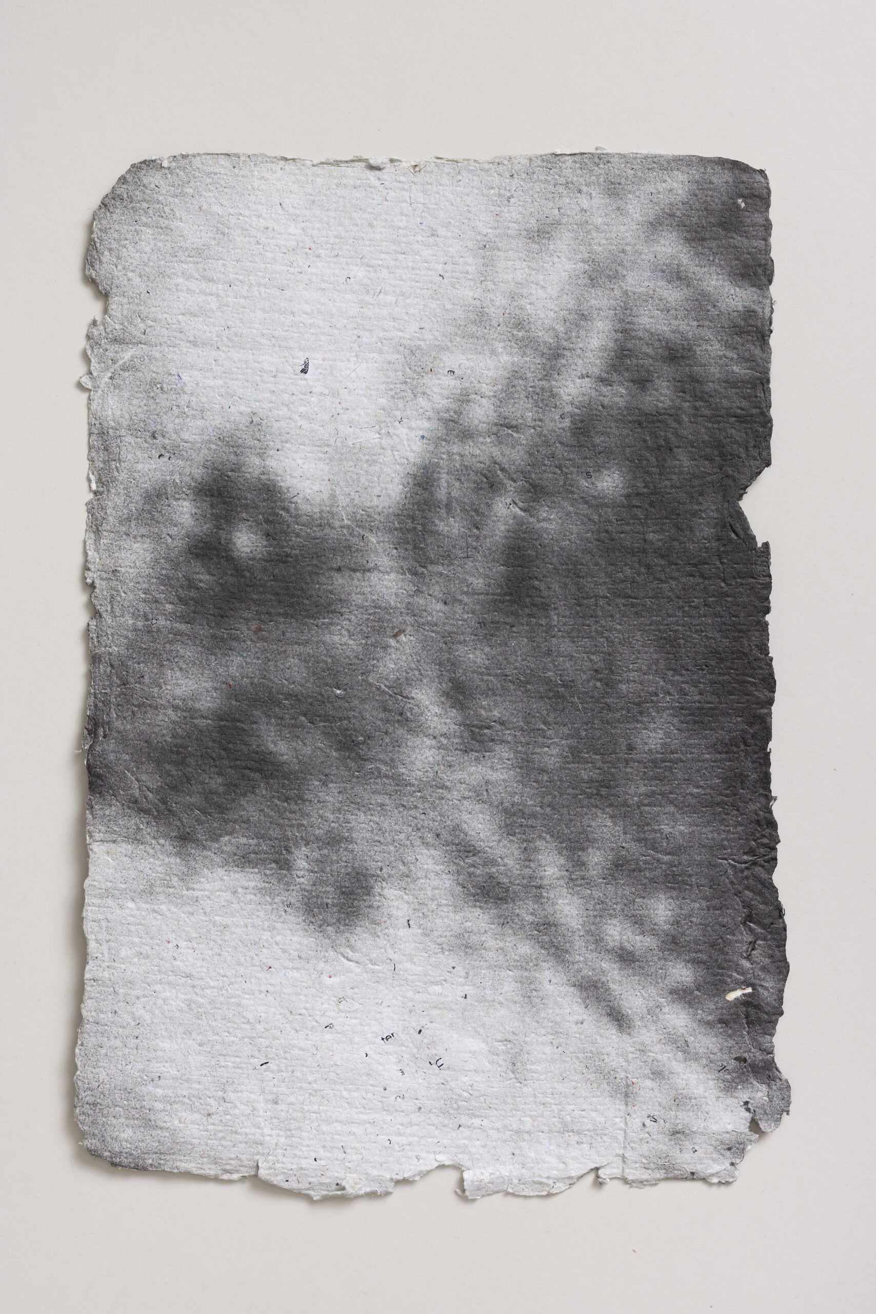 Žan Gašperič: RAZISKOVANJA SVETE PREPROSTOSTI