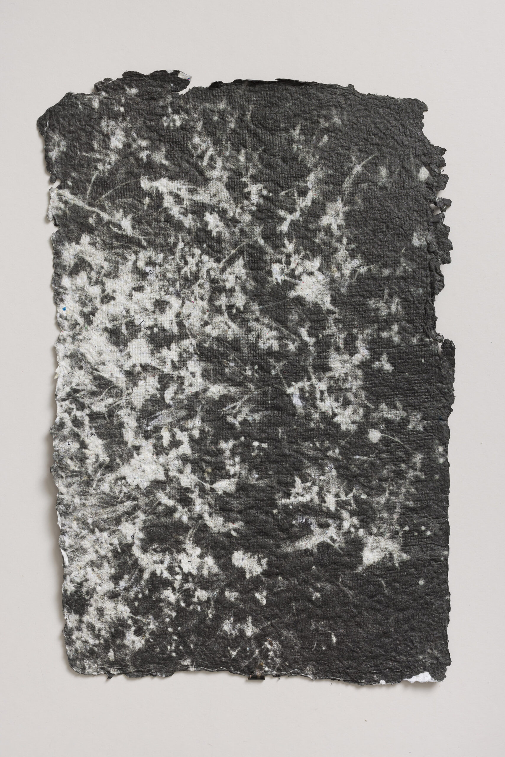 Žan Gašperič: RAZISKOVANJA SVETE PREPROSTOSTI