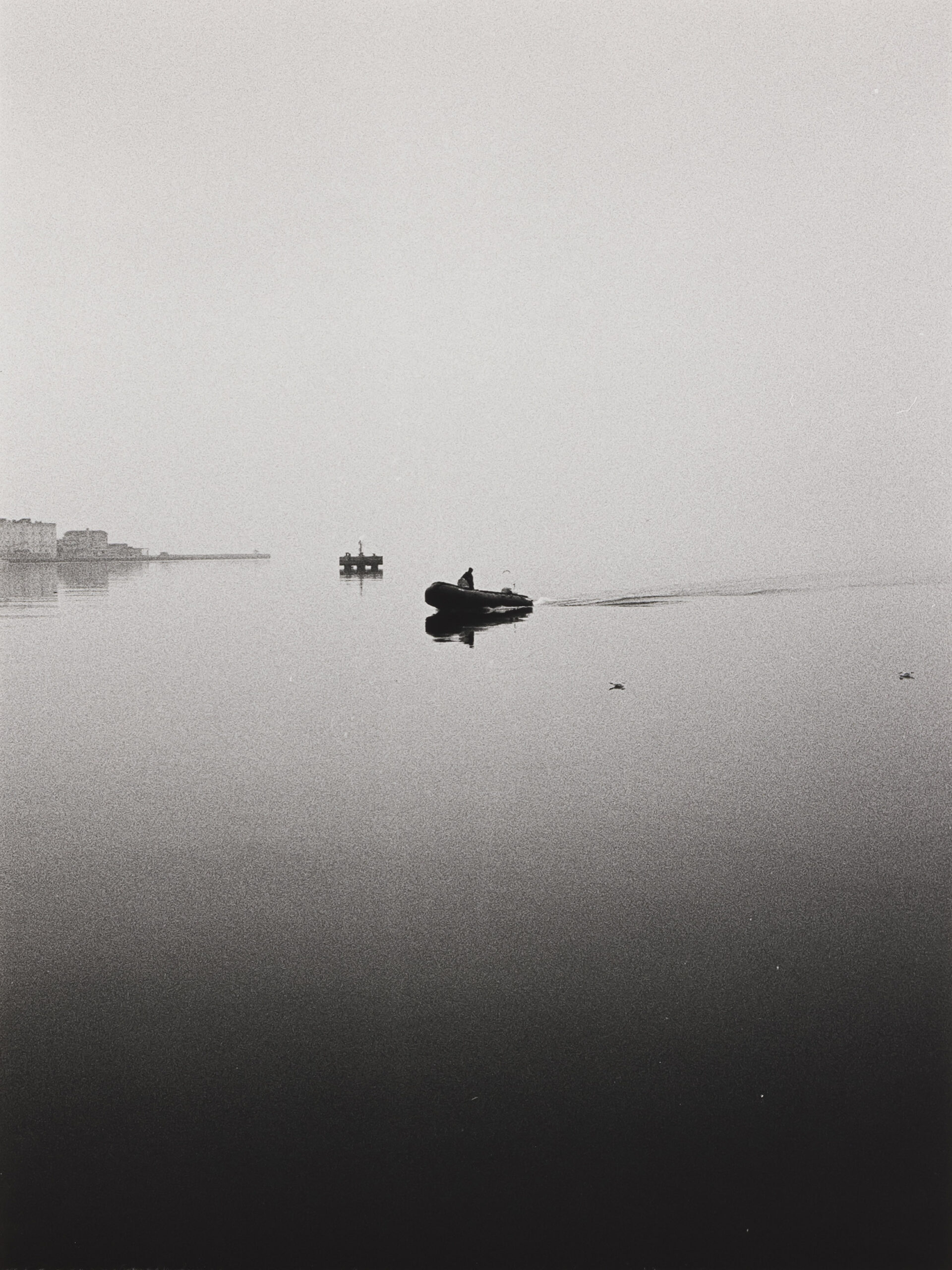 Iva Suhadolnik Gregorin: Pomol