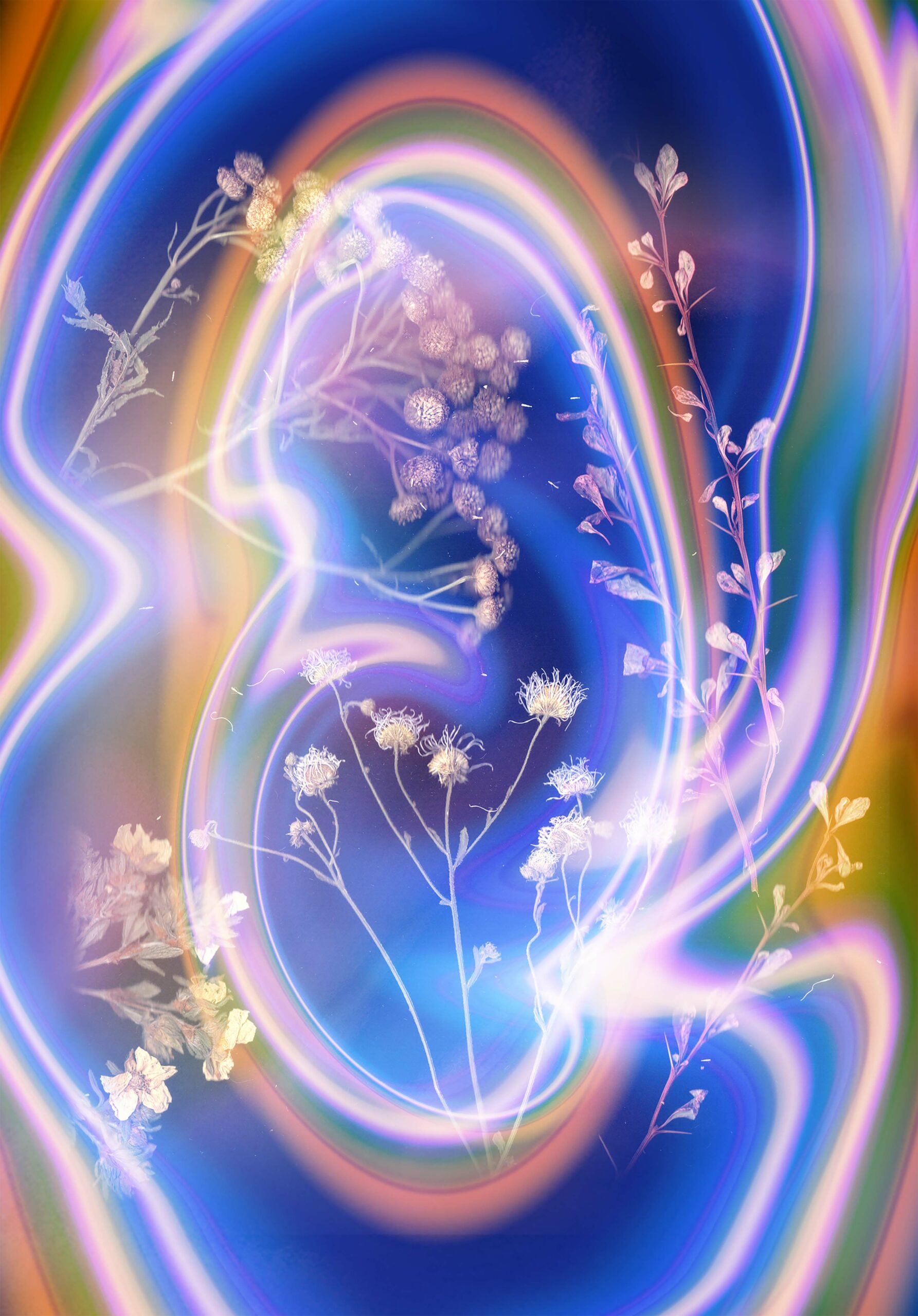 Wiktoria Mankowska: 3:RMA (appointMENT 7.0)