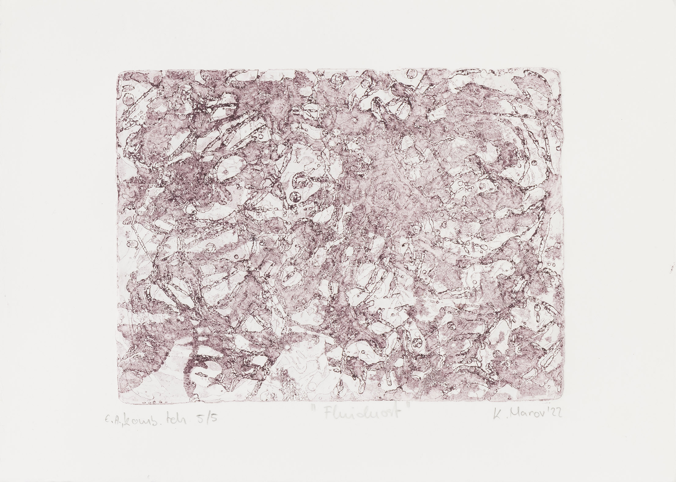 Katarina Marov: Fluidnost