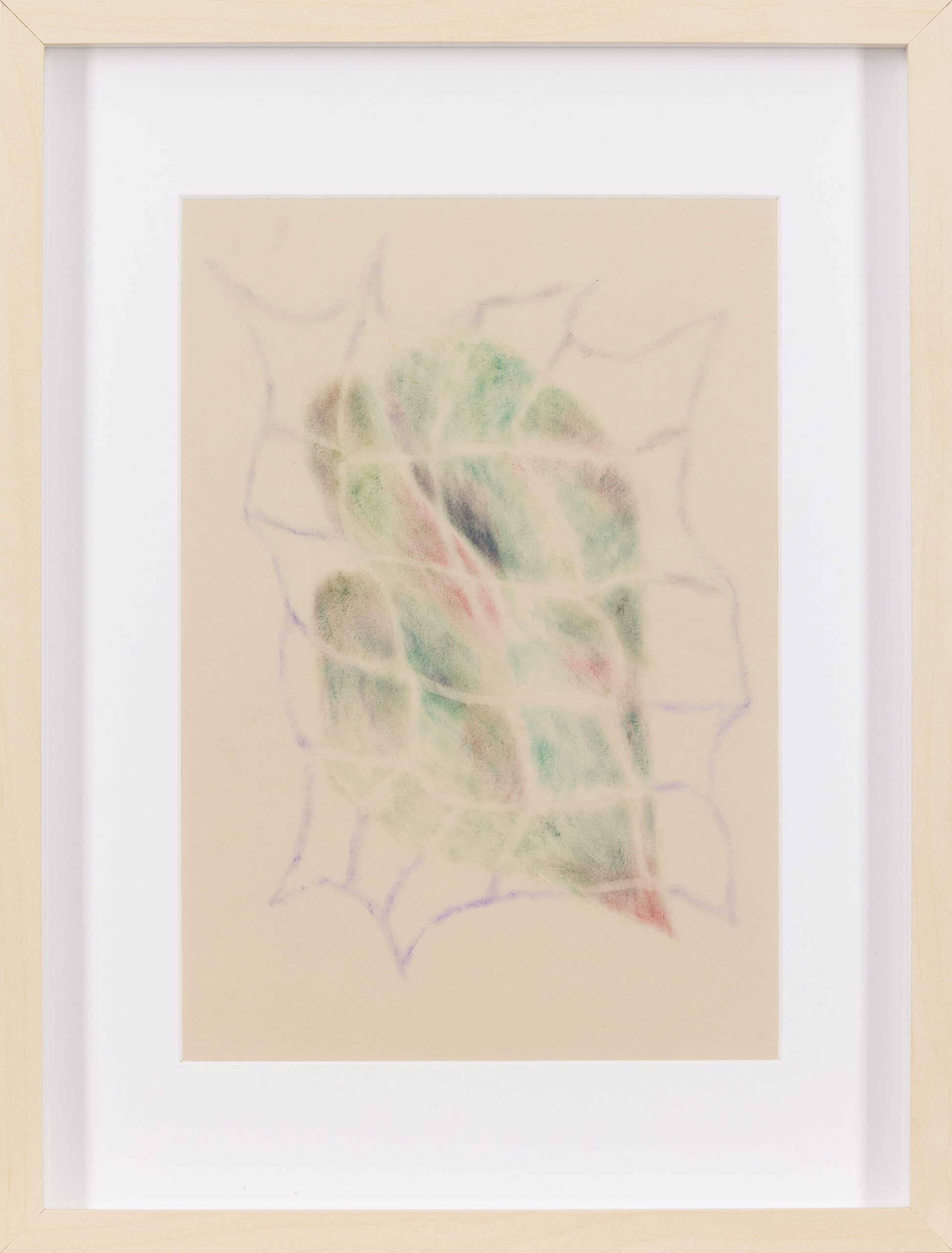 Ajda Kadunc: Earwigs Fly