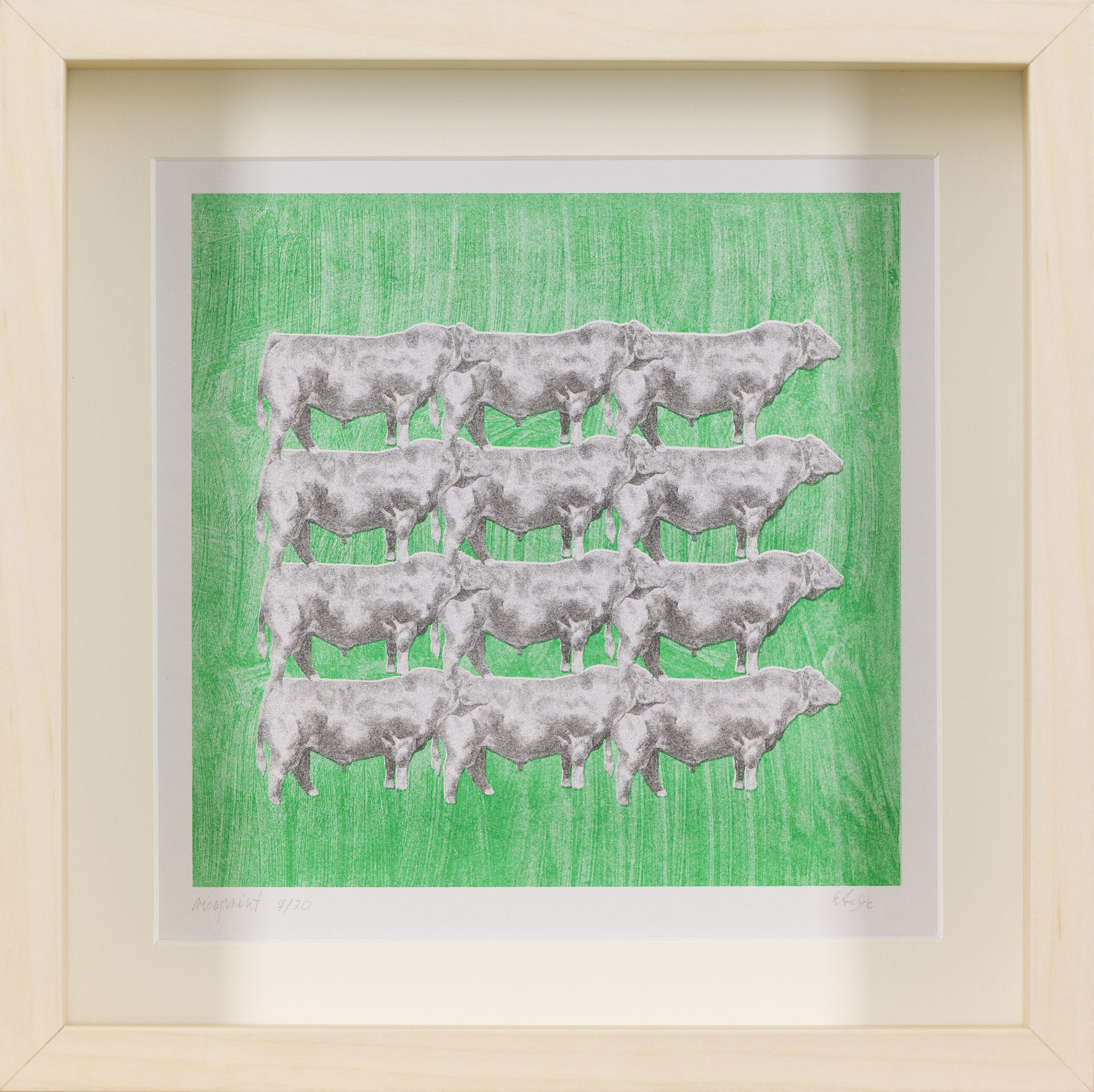 Eva Anzeljc: Ducat krav