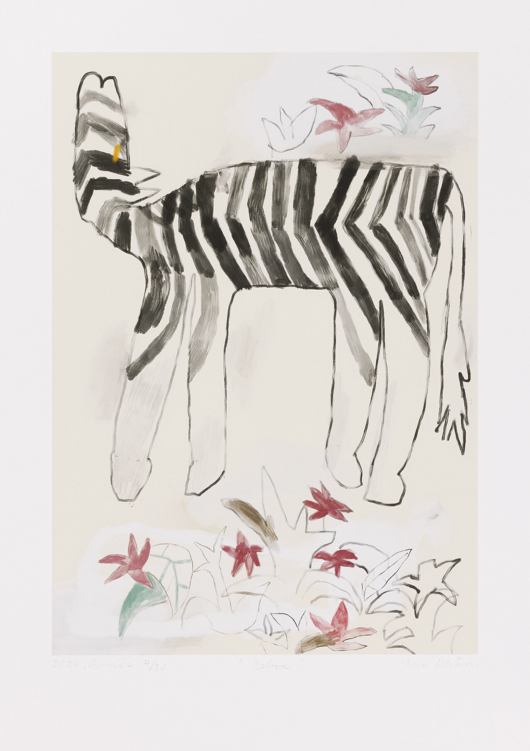 Iris Plesnar: Zebra