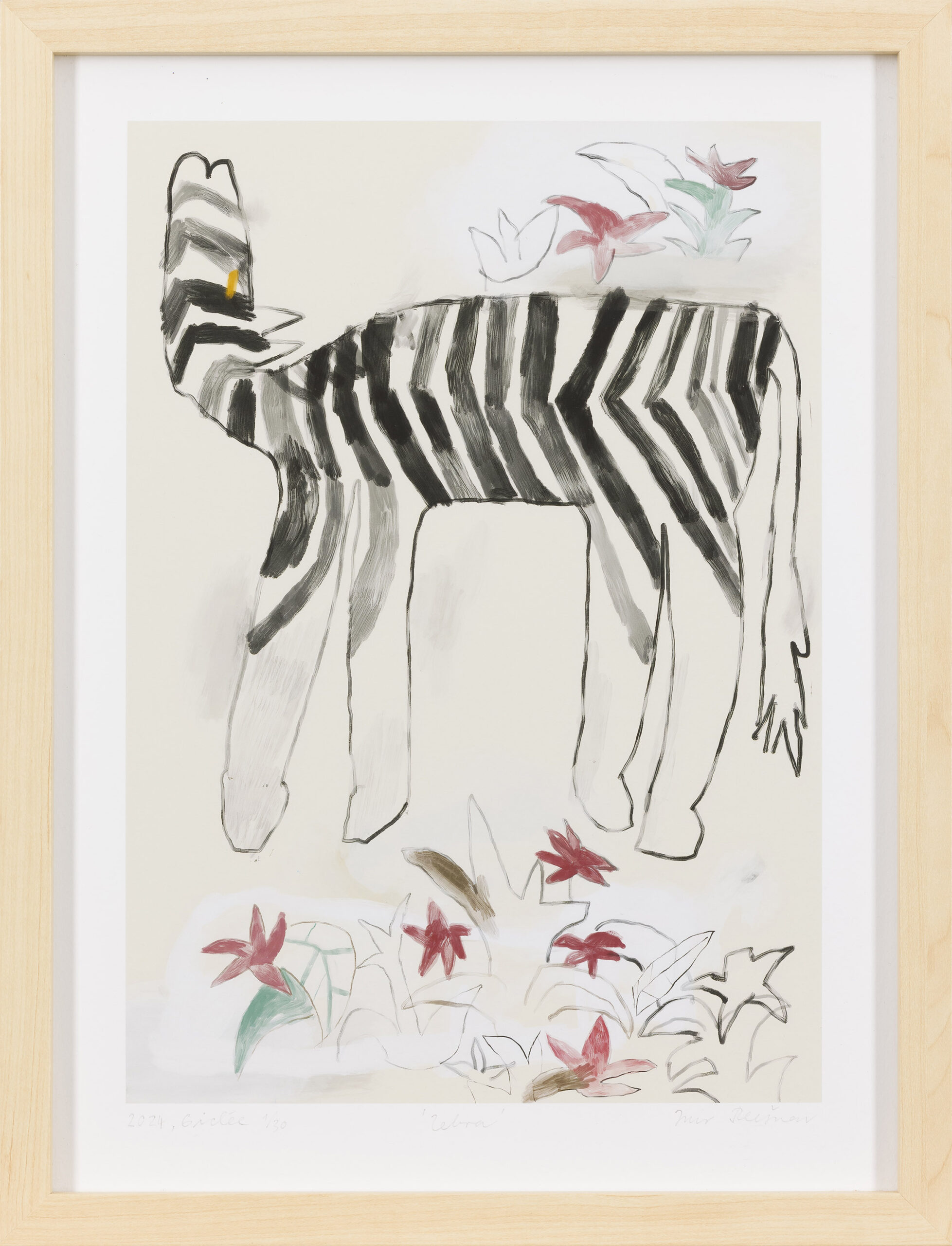 Iris Plesnar: Zebra