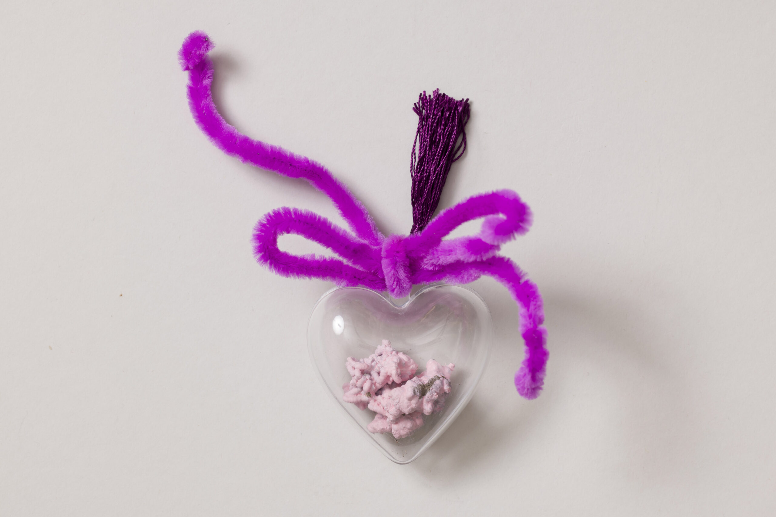 Isidora Todorić: Črvine