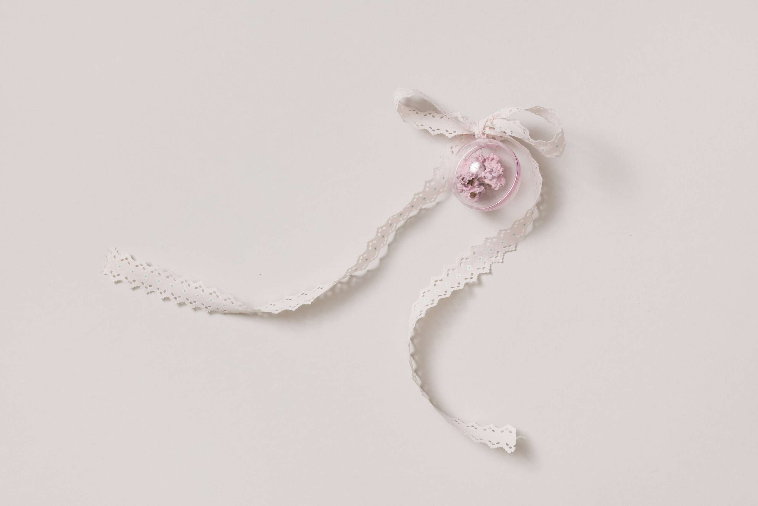 Isidora Todorić: Črvine