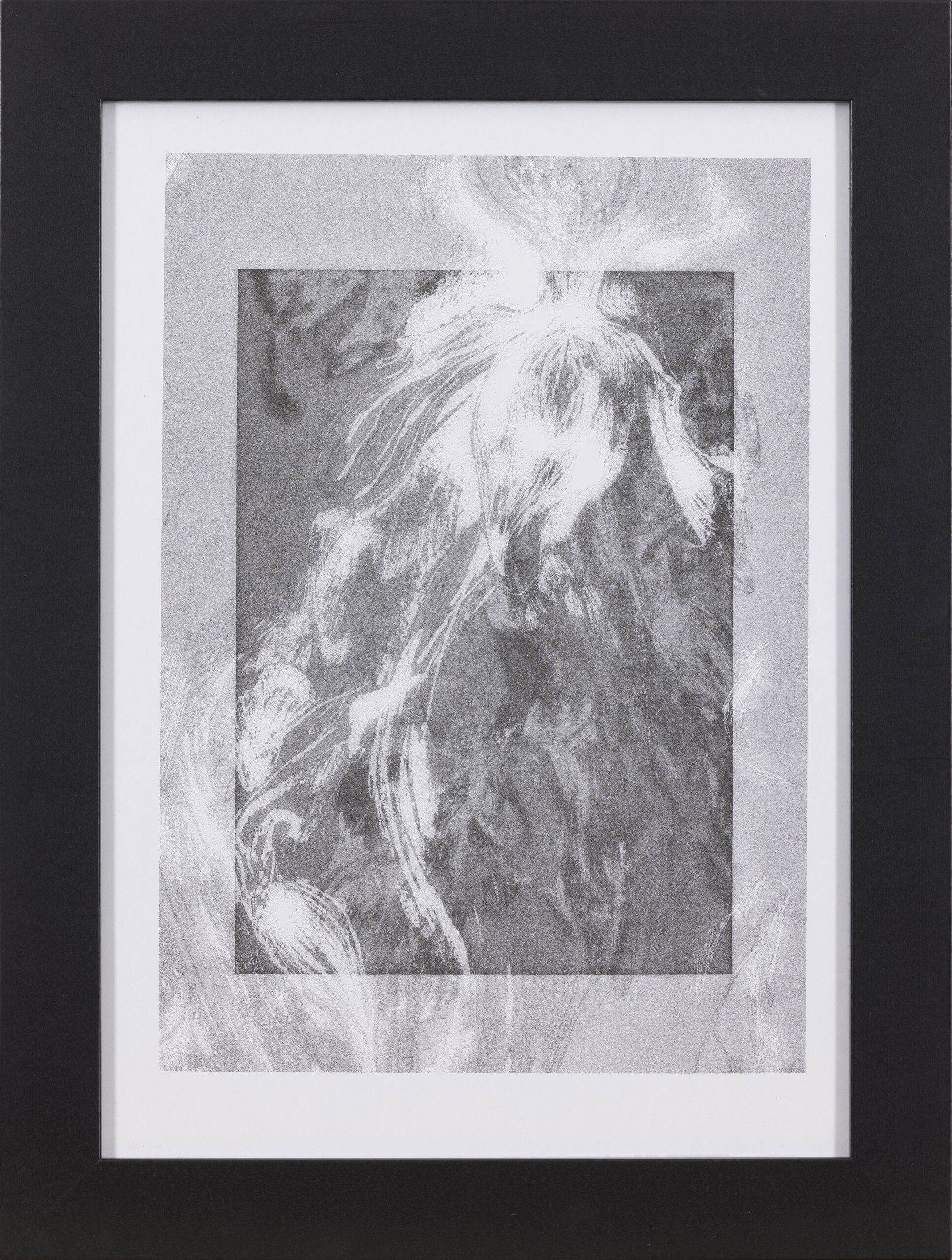 Jovana Tešić: Transparent Bloom