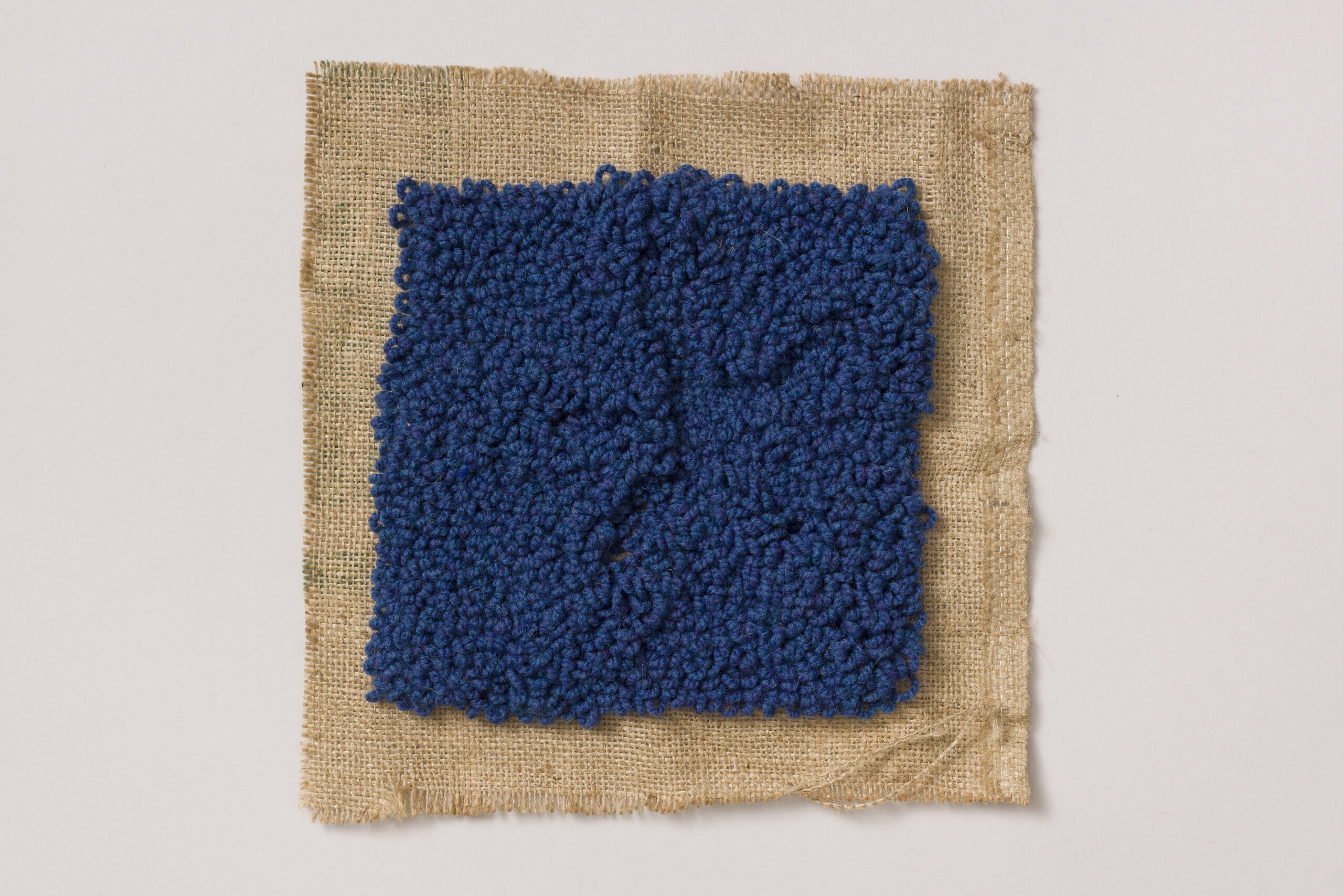 Teja Šter: Bela MODRA homulica