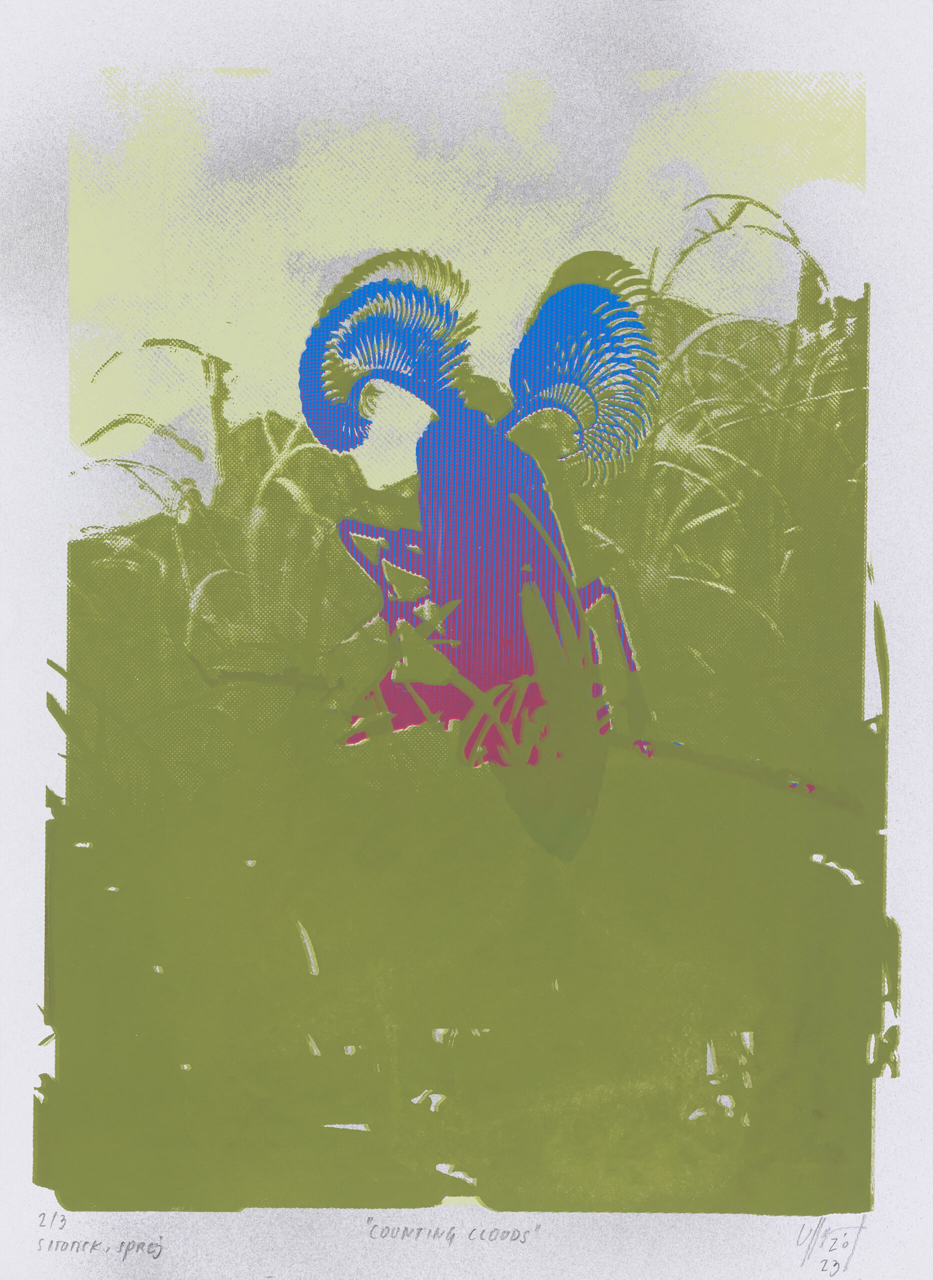 Ulla Žibert: Counting clouds