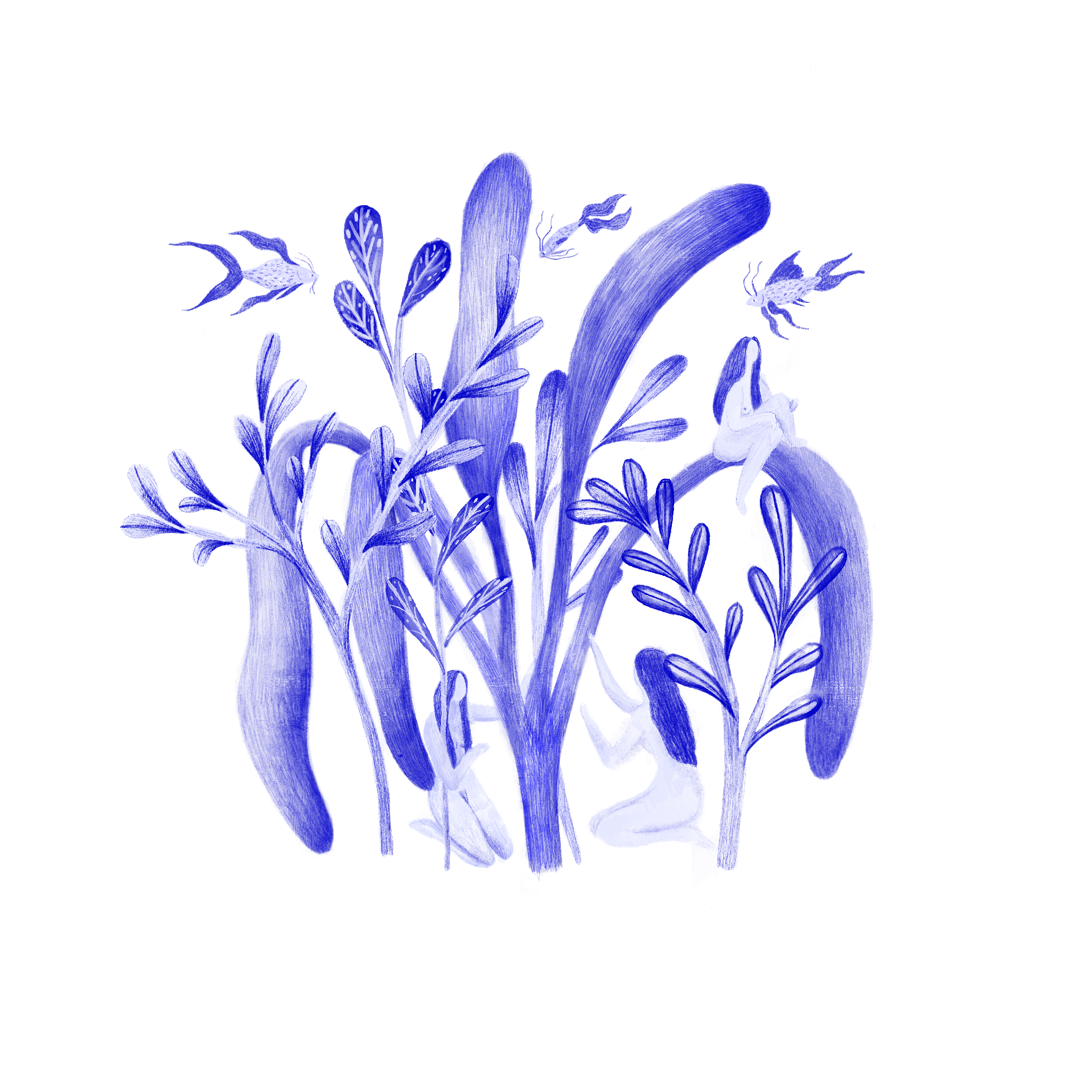 Alin Kostiov: Flora in Fauna I