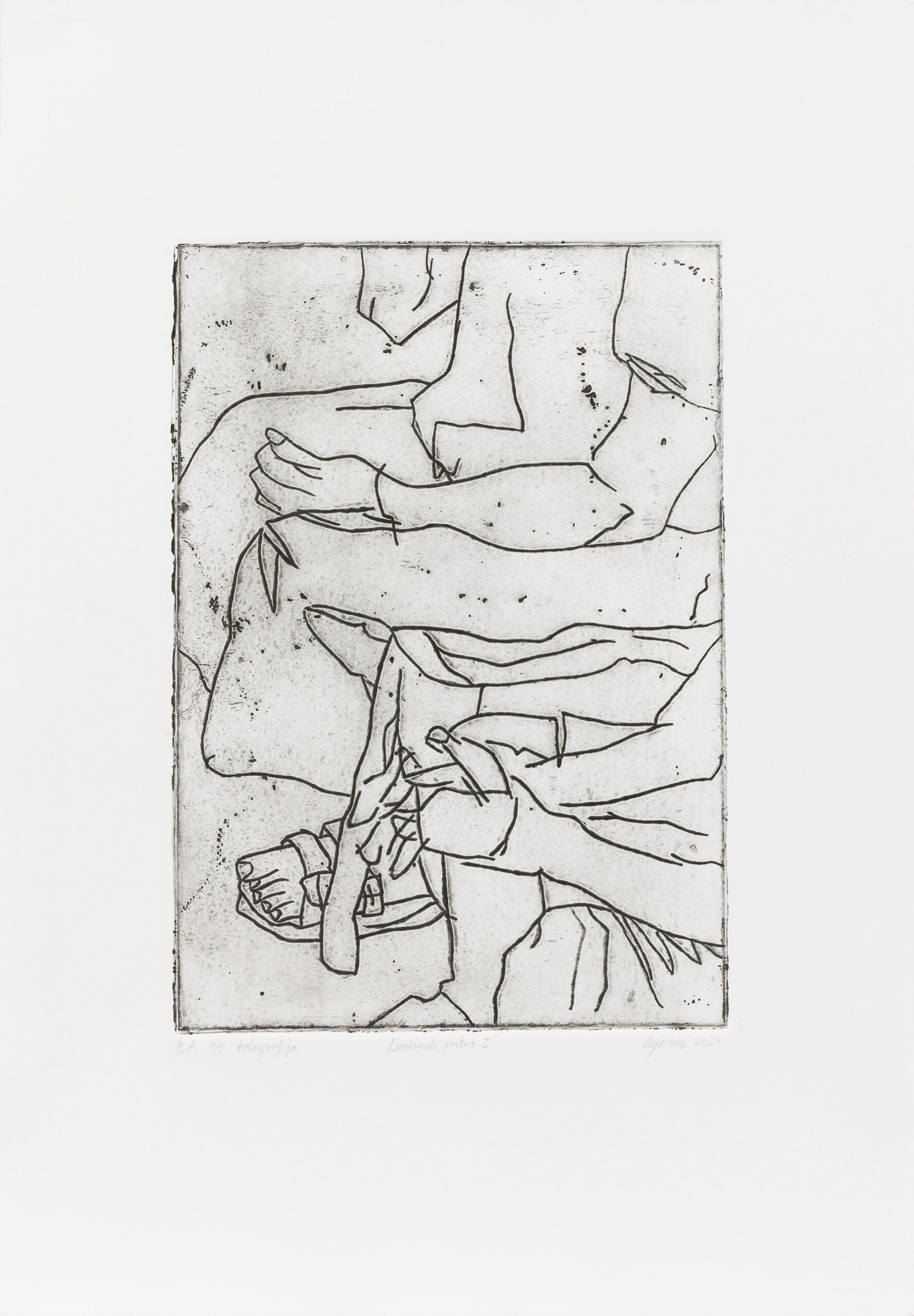 Nika Dejanović: Družinski portret I