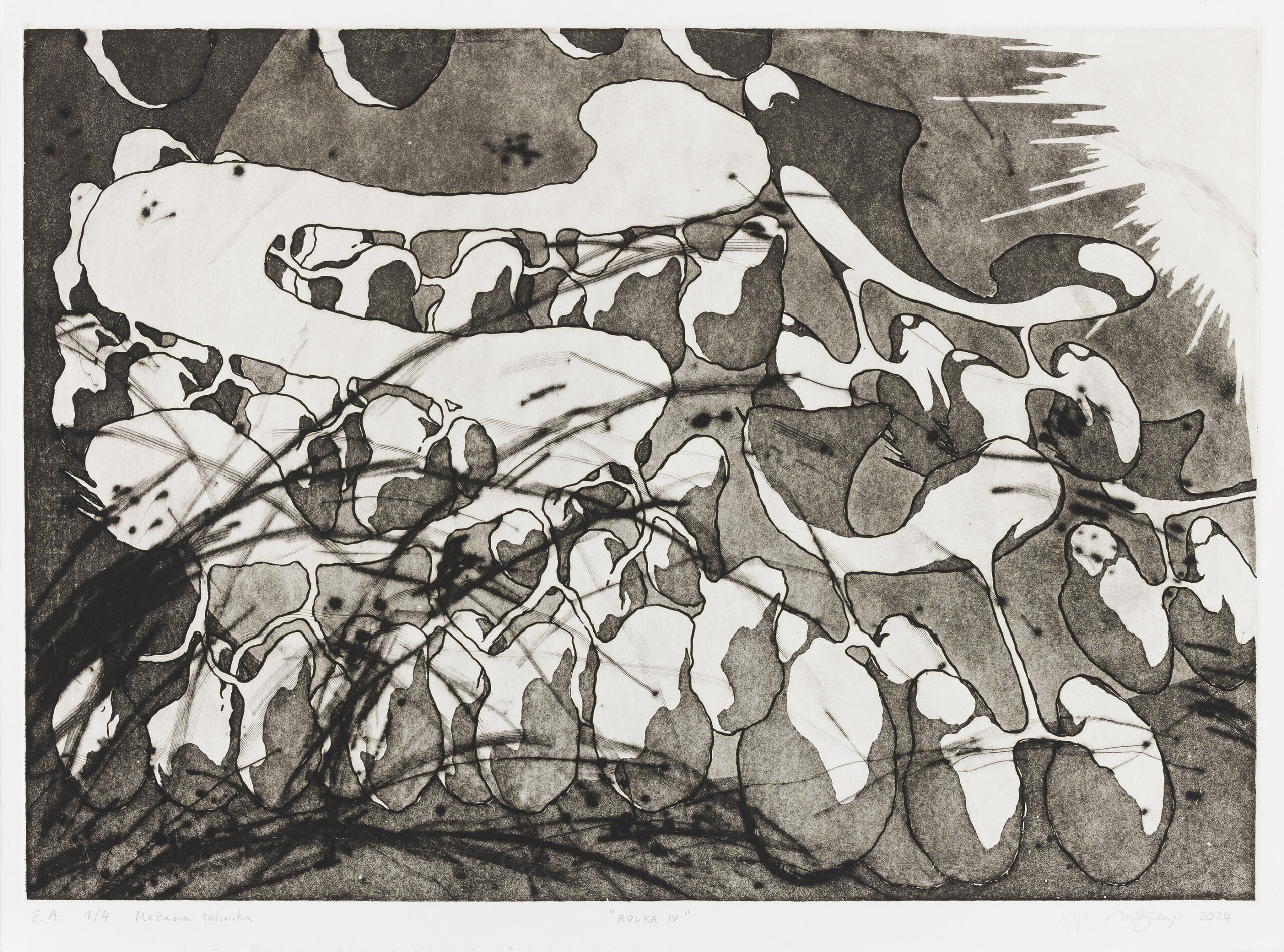 Sreda v Sredo (Matic Flajs): Rolka IV