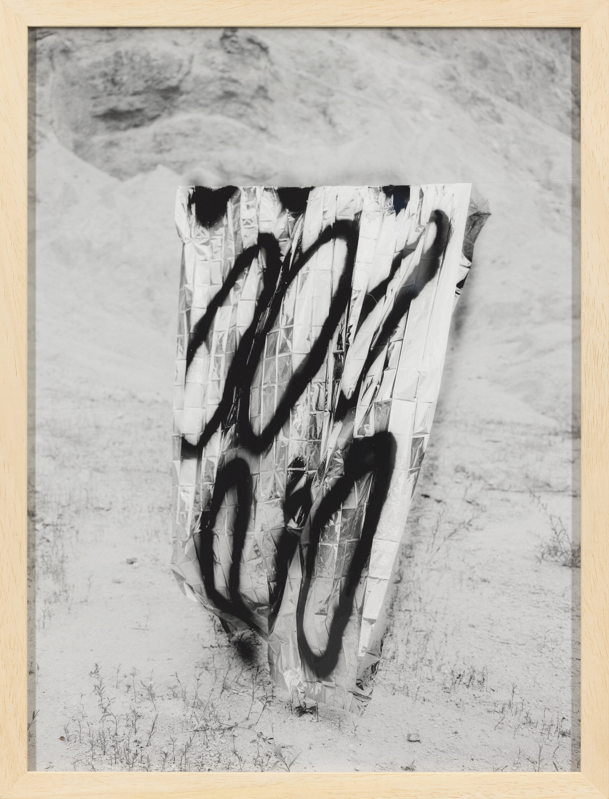 Valerija Intihar: Disruption dot I (z okvirjem)