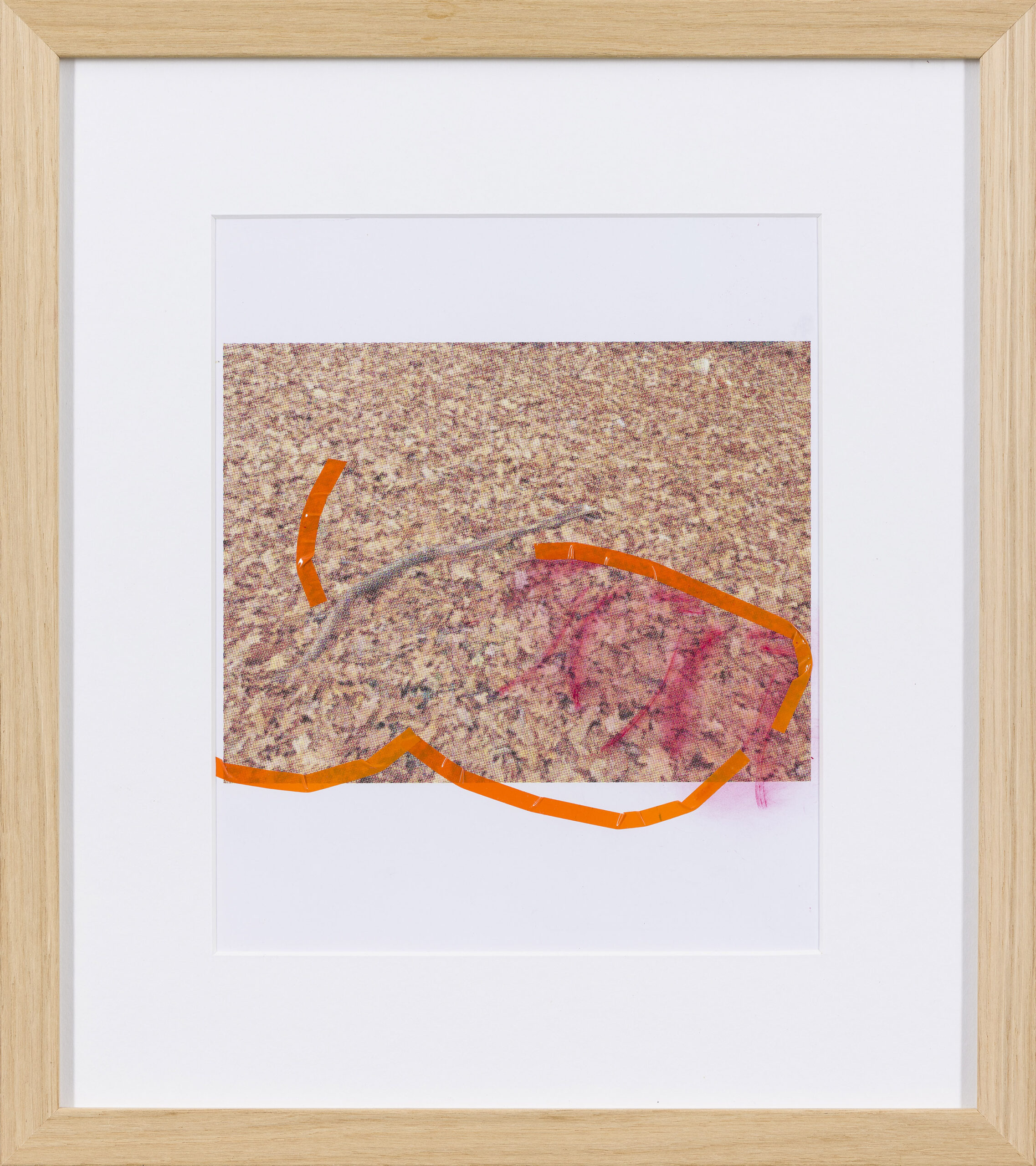 Lana Kosovel : Dried Mind (z okvirjem)