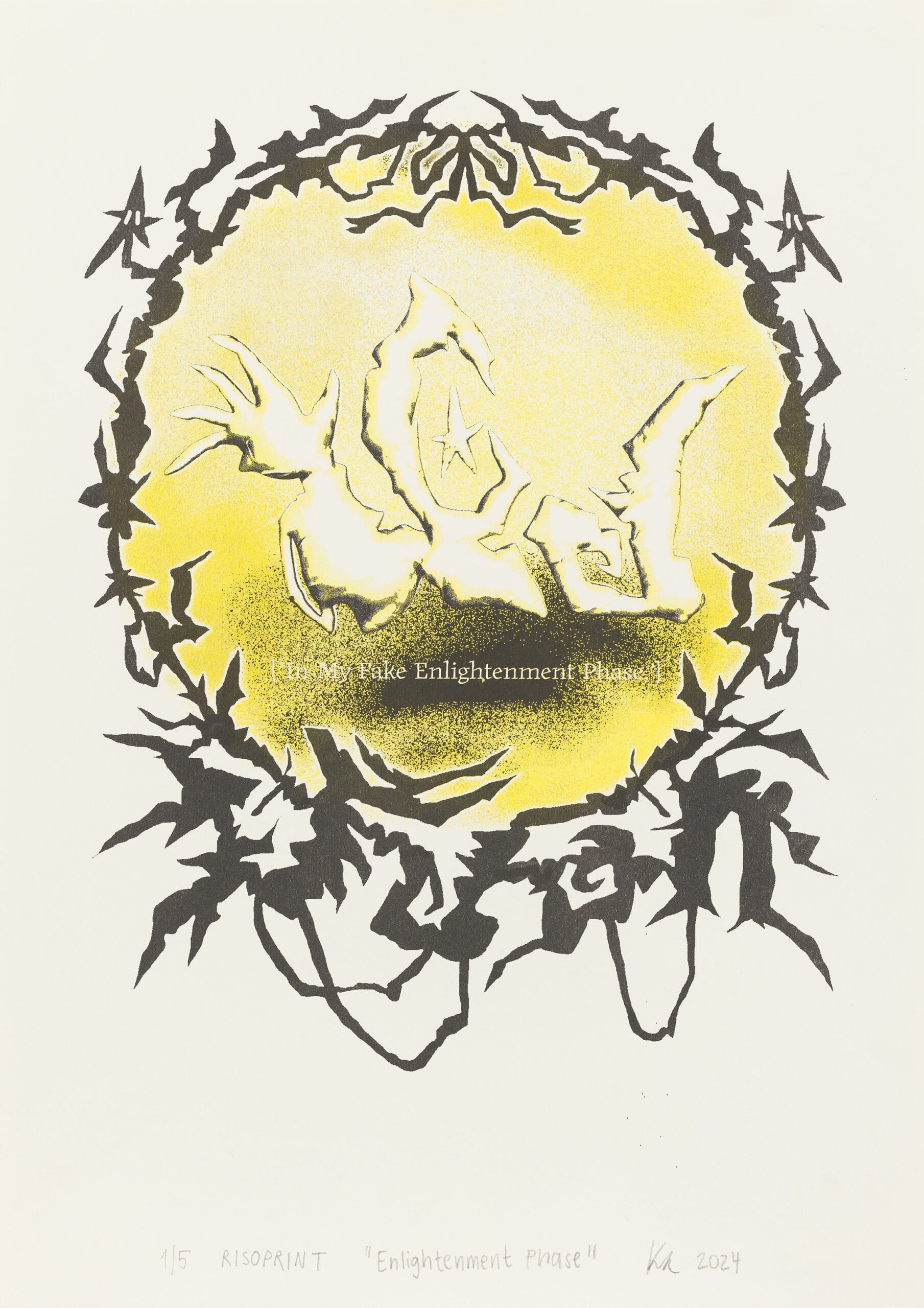 Farah Sara Kurnik: Fake Enlightenment