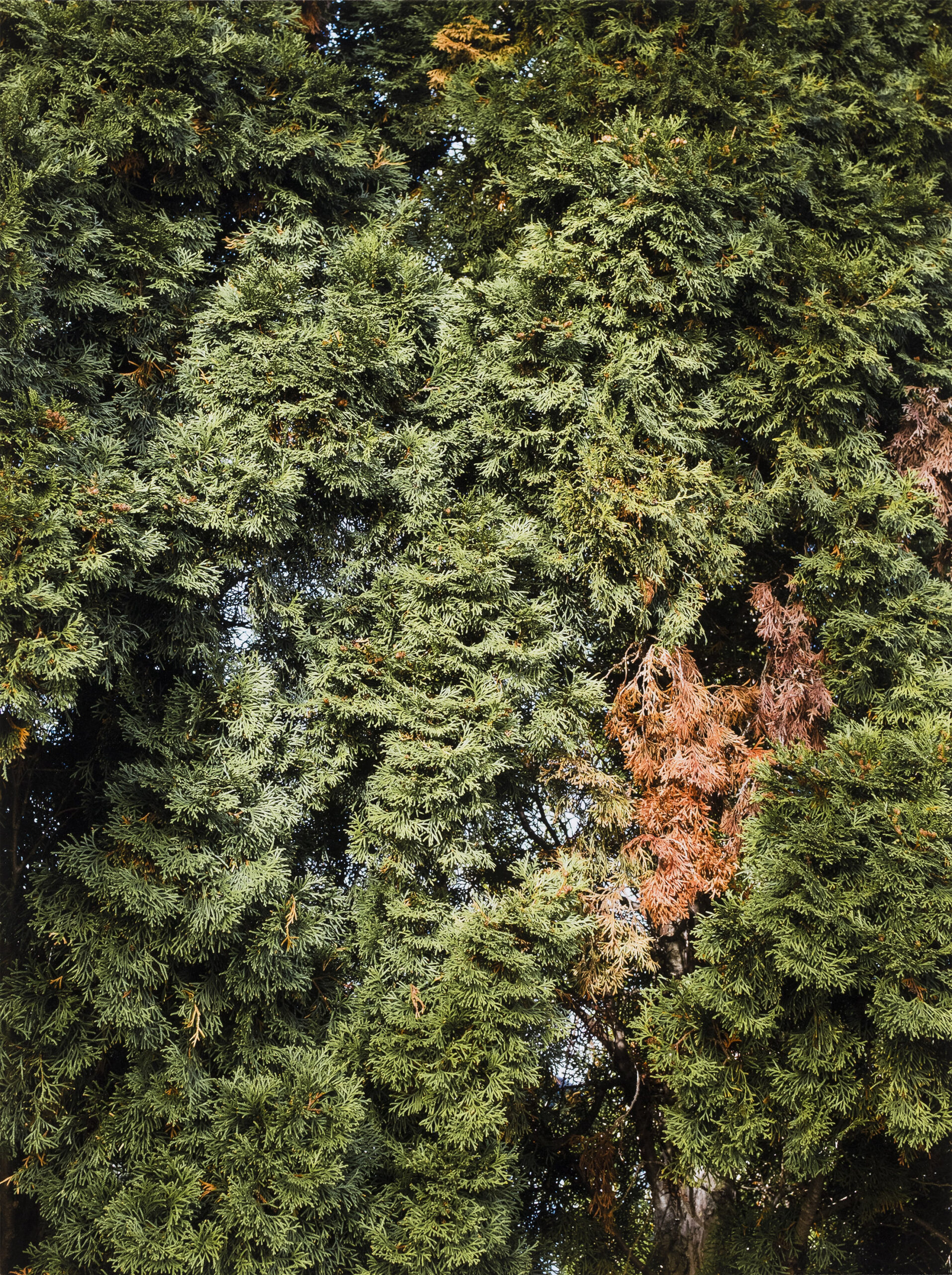 Markus Röder: Undiscovered territories (Gramatneusiedl)