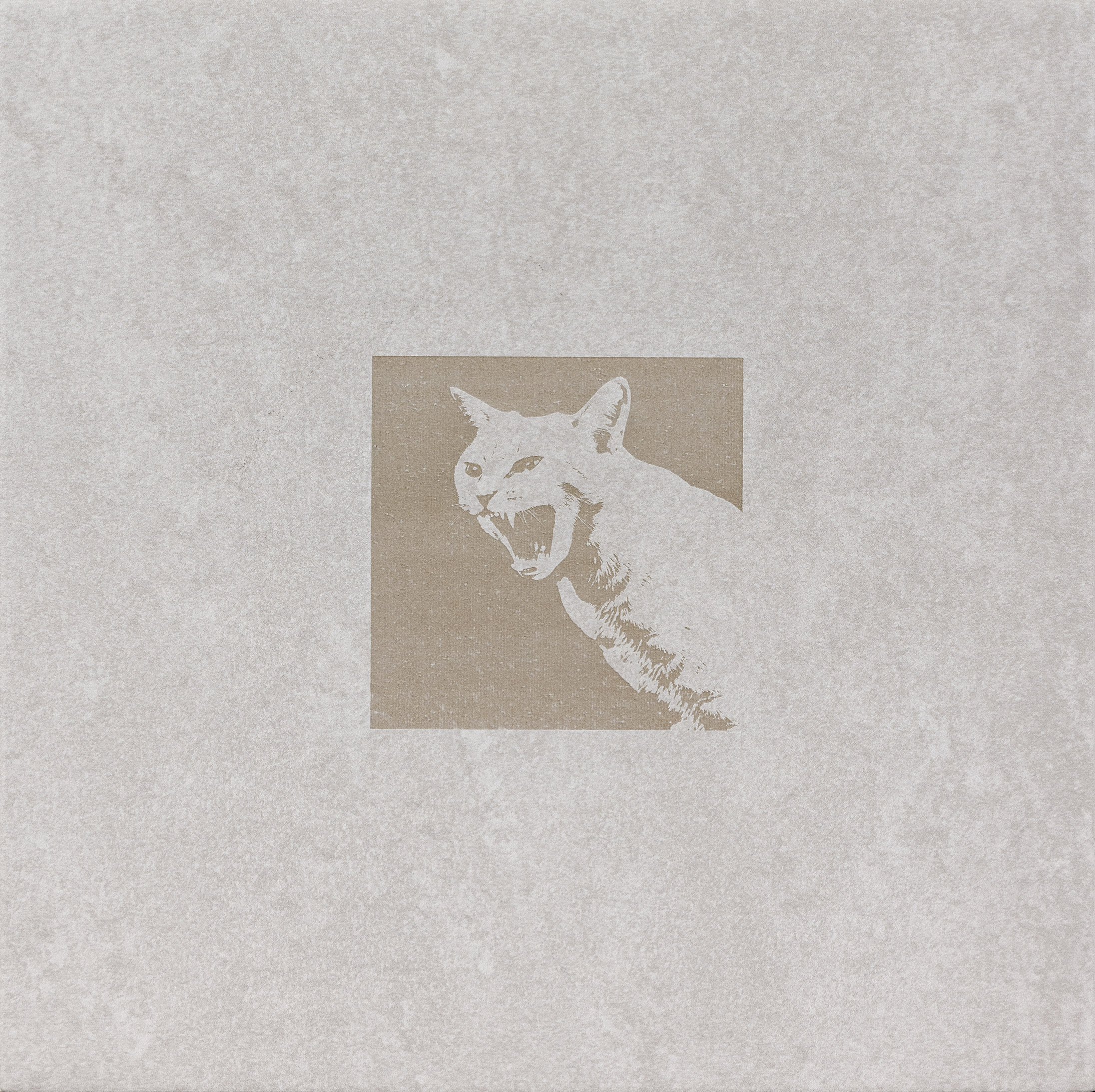 Lana Požlep: Angry Cat