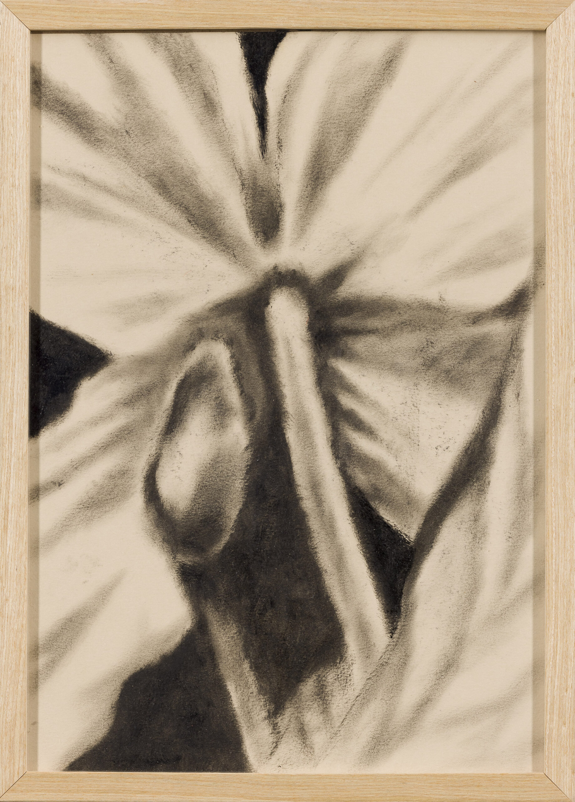 Ajda Kadunc: Earthworm's suns (z okvirjem)