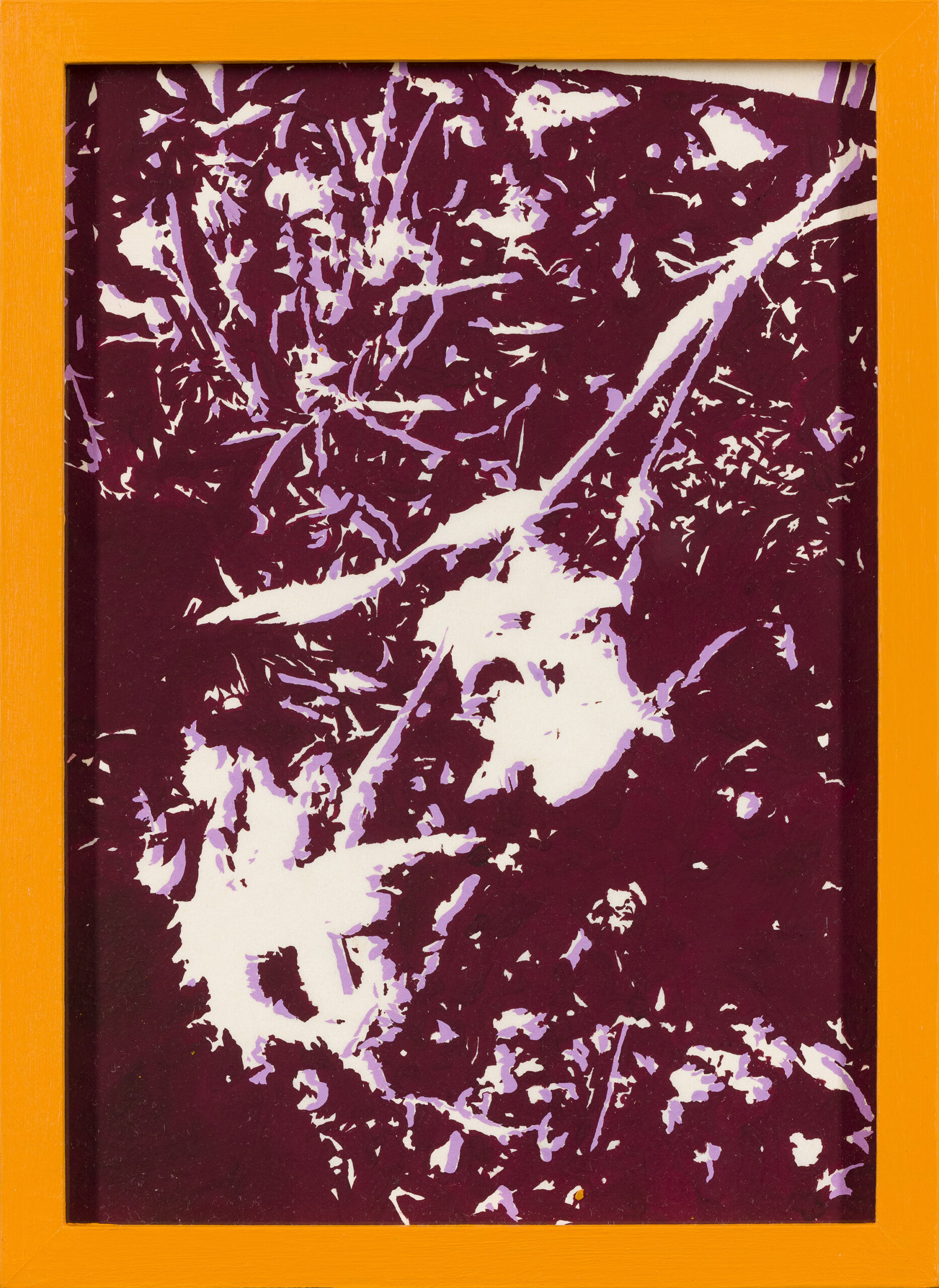 Ana Janež: Minor Incident I. (z okvirjem)