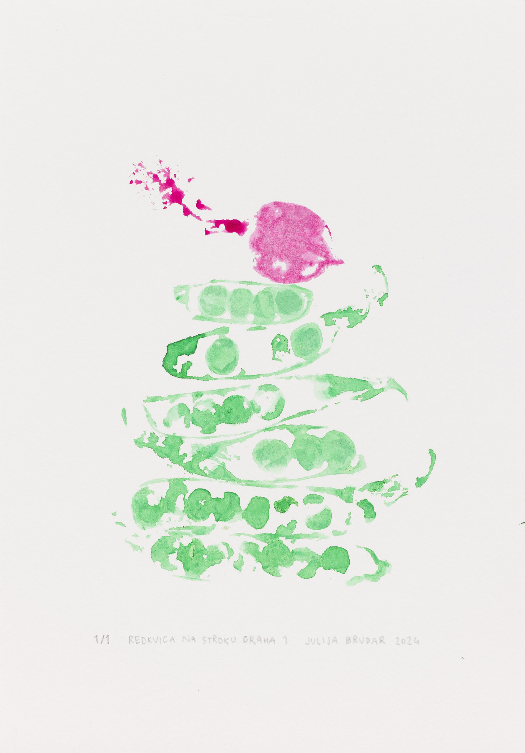 Julija Brudar: Redkvice na stroku graha 1