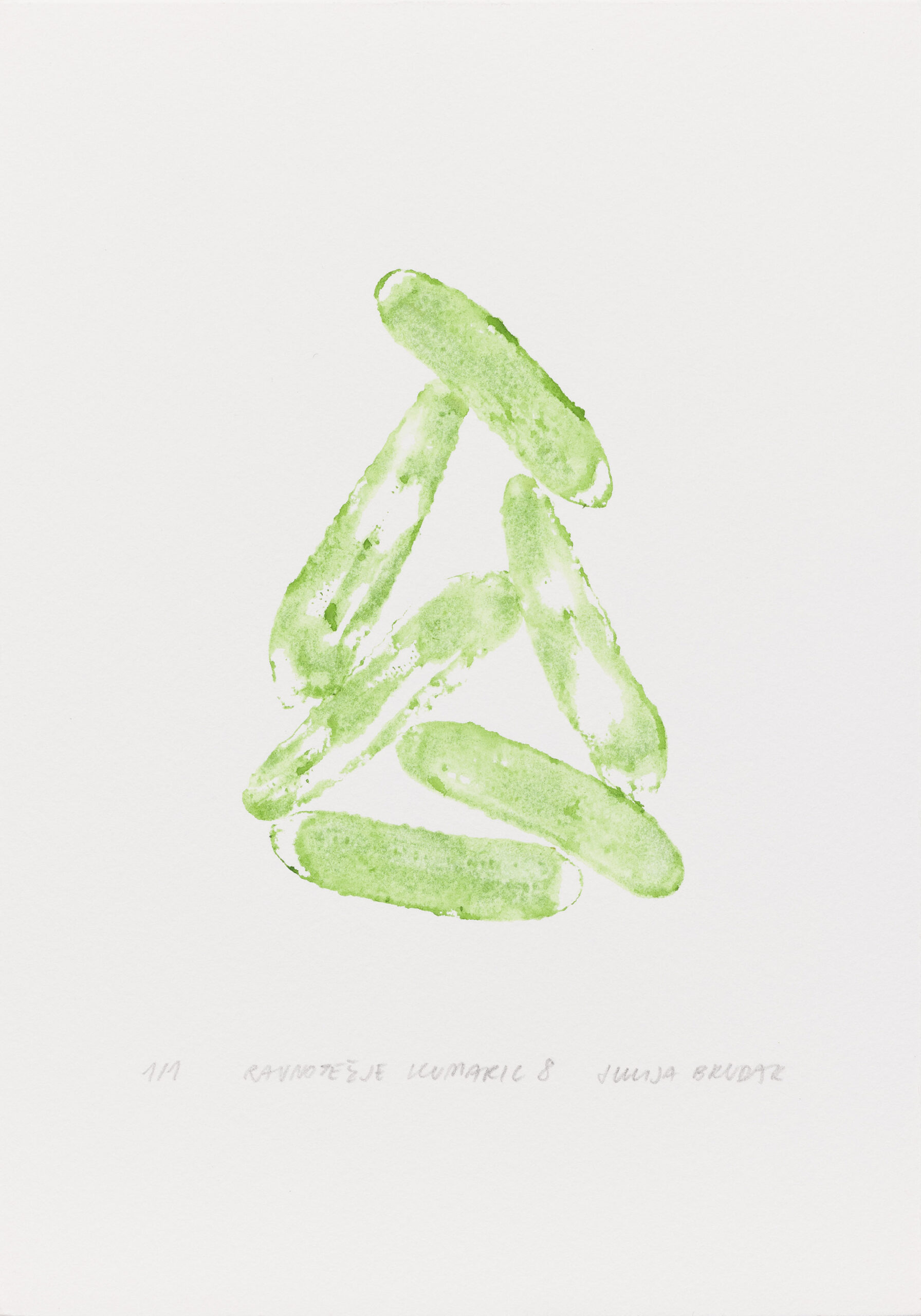 Julija Brudar: Ravnotežje kumaric