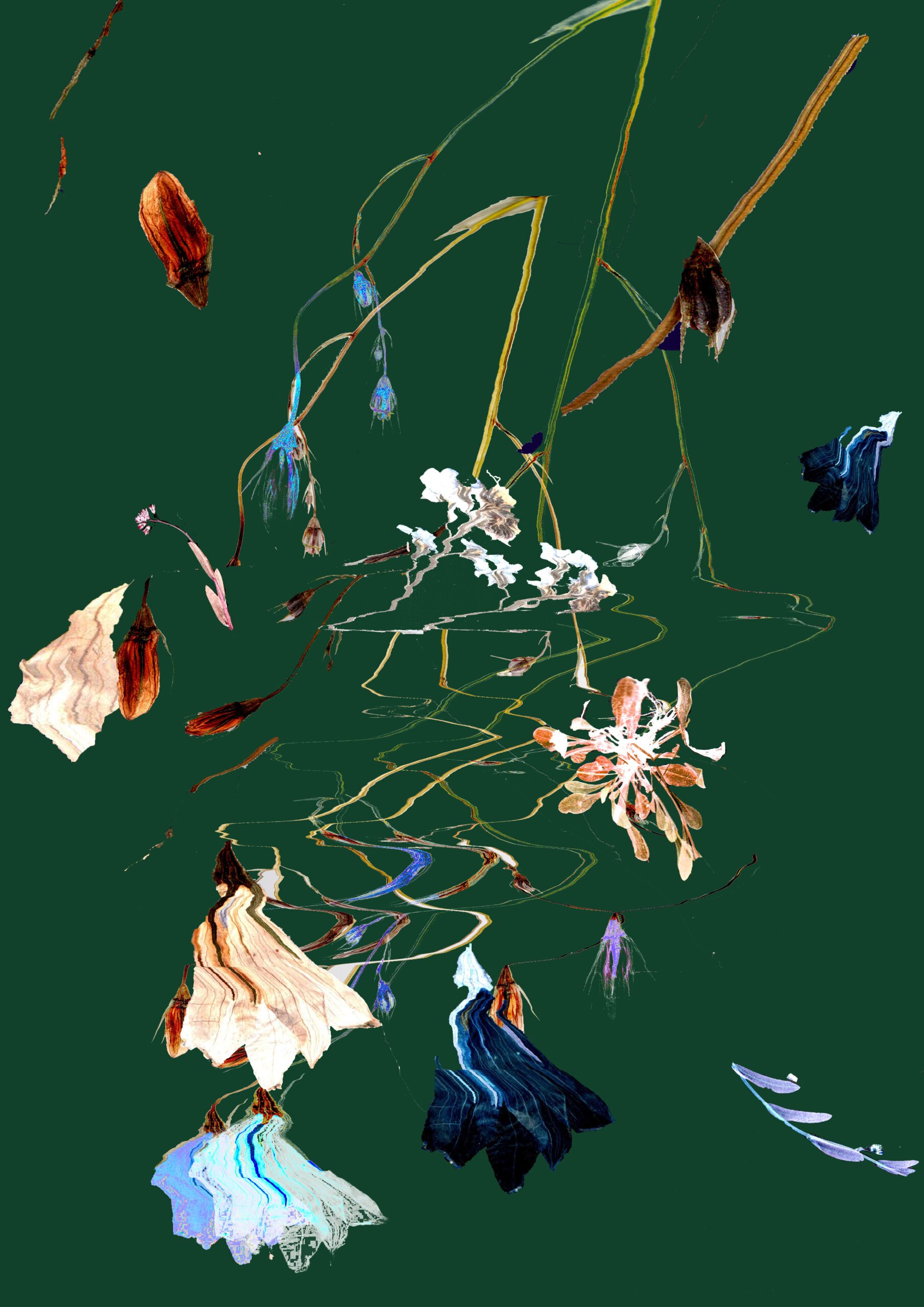 Ana Janež x Daniela Pes (appointMENT 8.0)