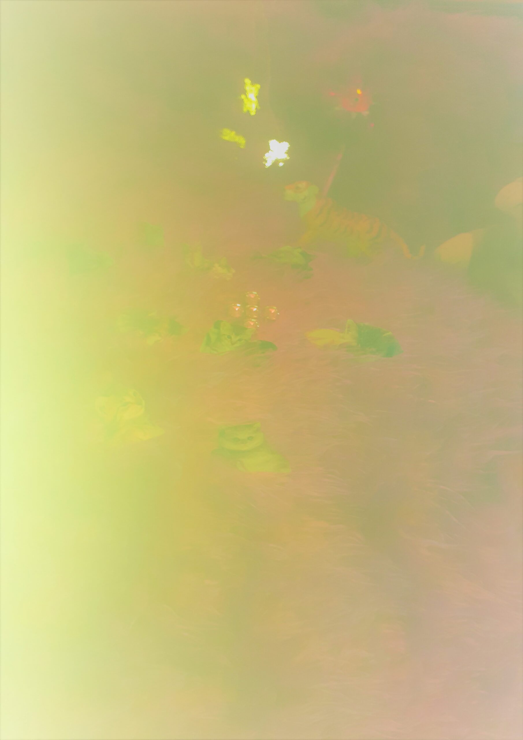 Isidora Todorić x Kranjčan Brothers (appointMENT 8.0)