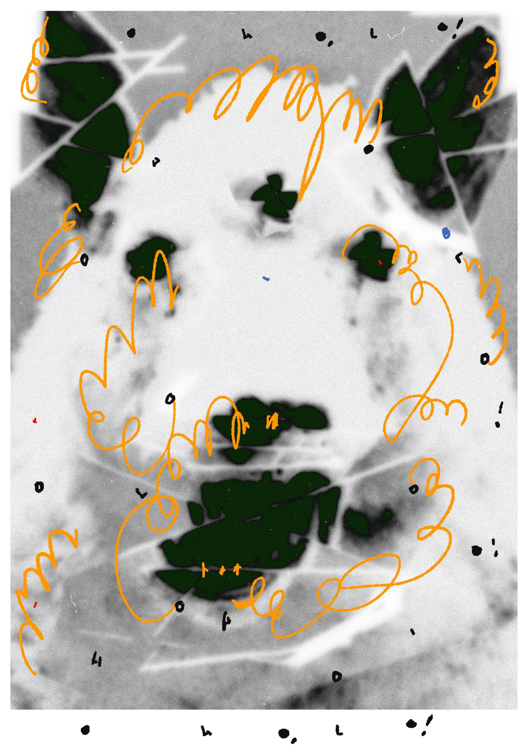 Ivana Gelić x Oholo! (appointMENT 8.0)