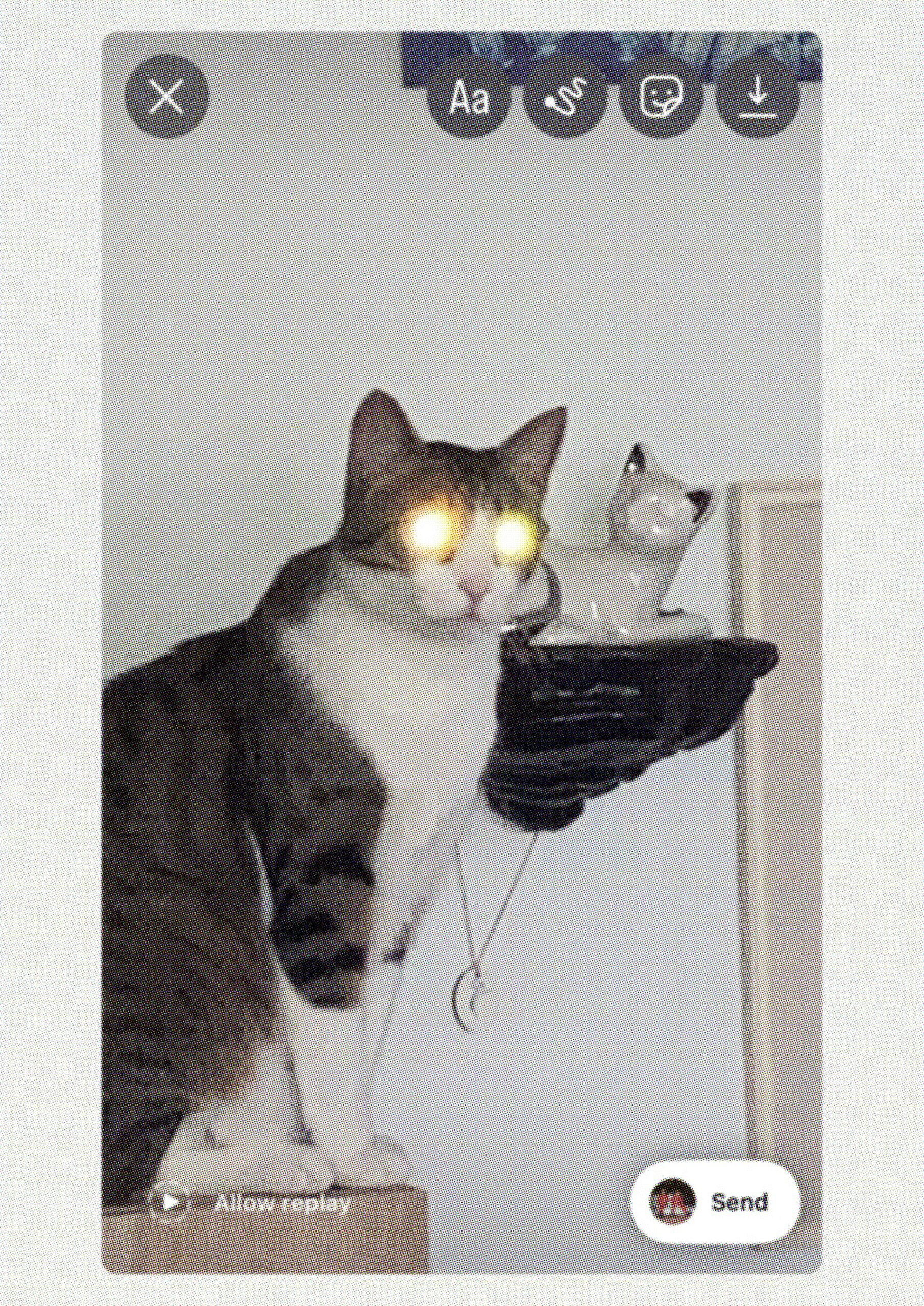 Lea Topolovec x Belvoir (appointMENT 8.0)