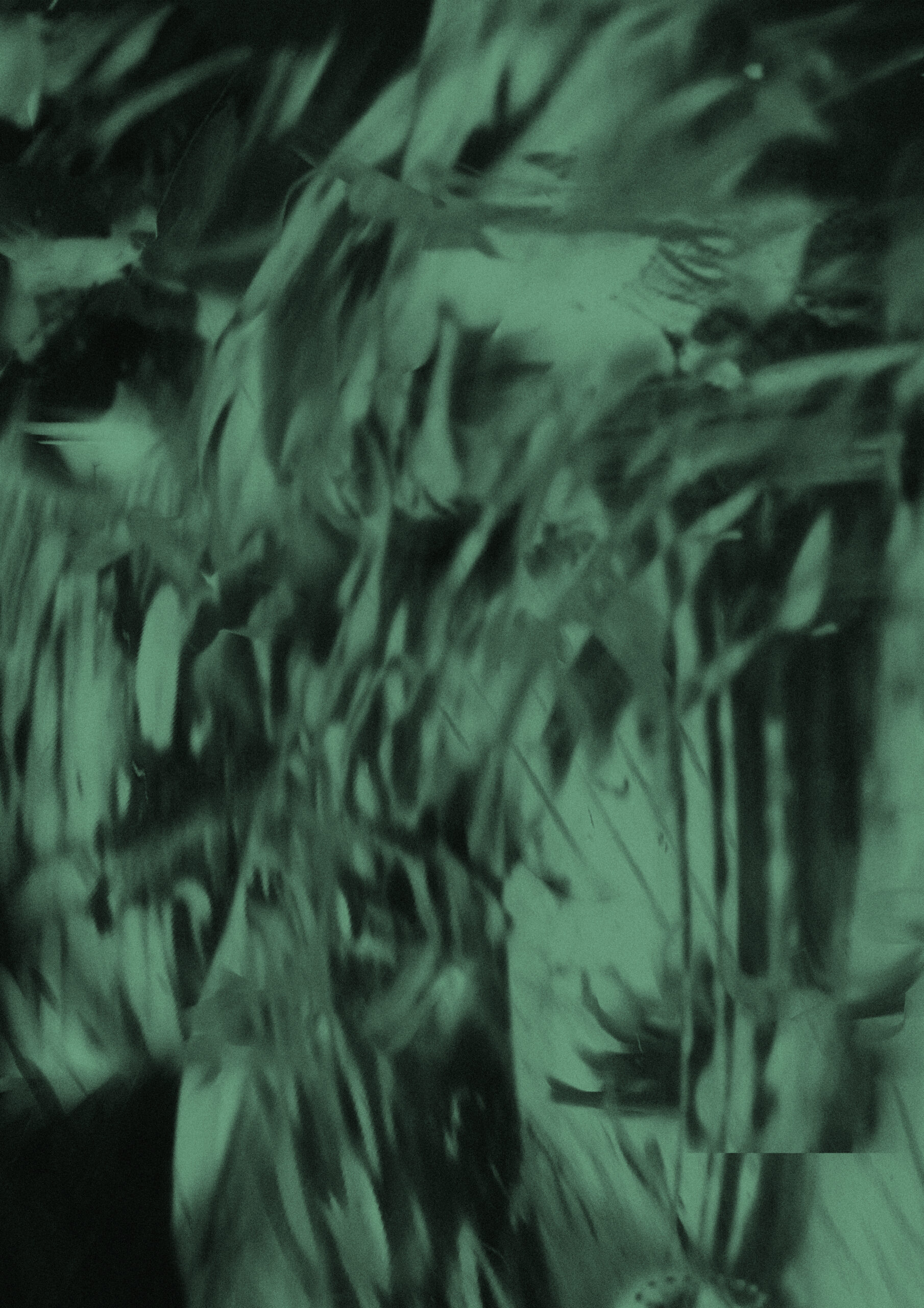 Neža Perovšek x Mižerija (appointMENT 8.0)