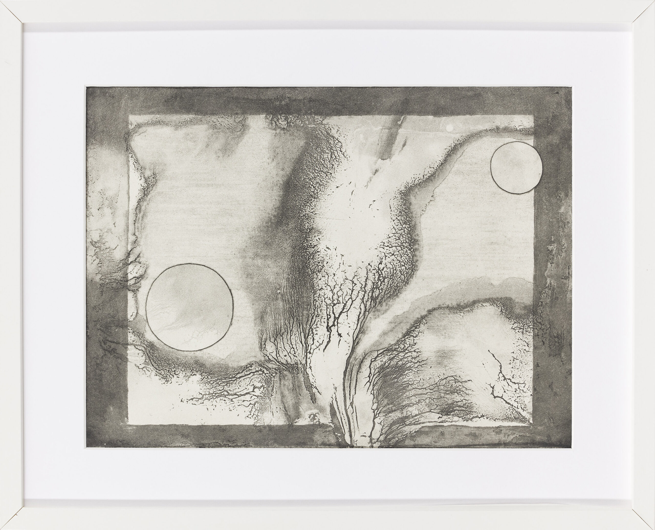 Polona Pečan: Sožitje