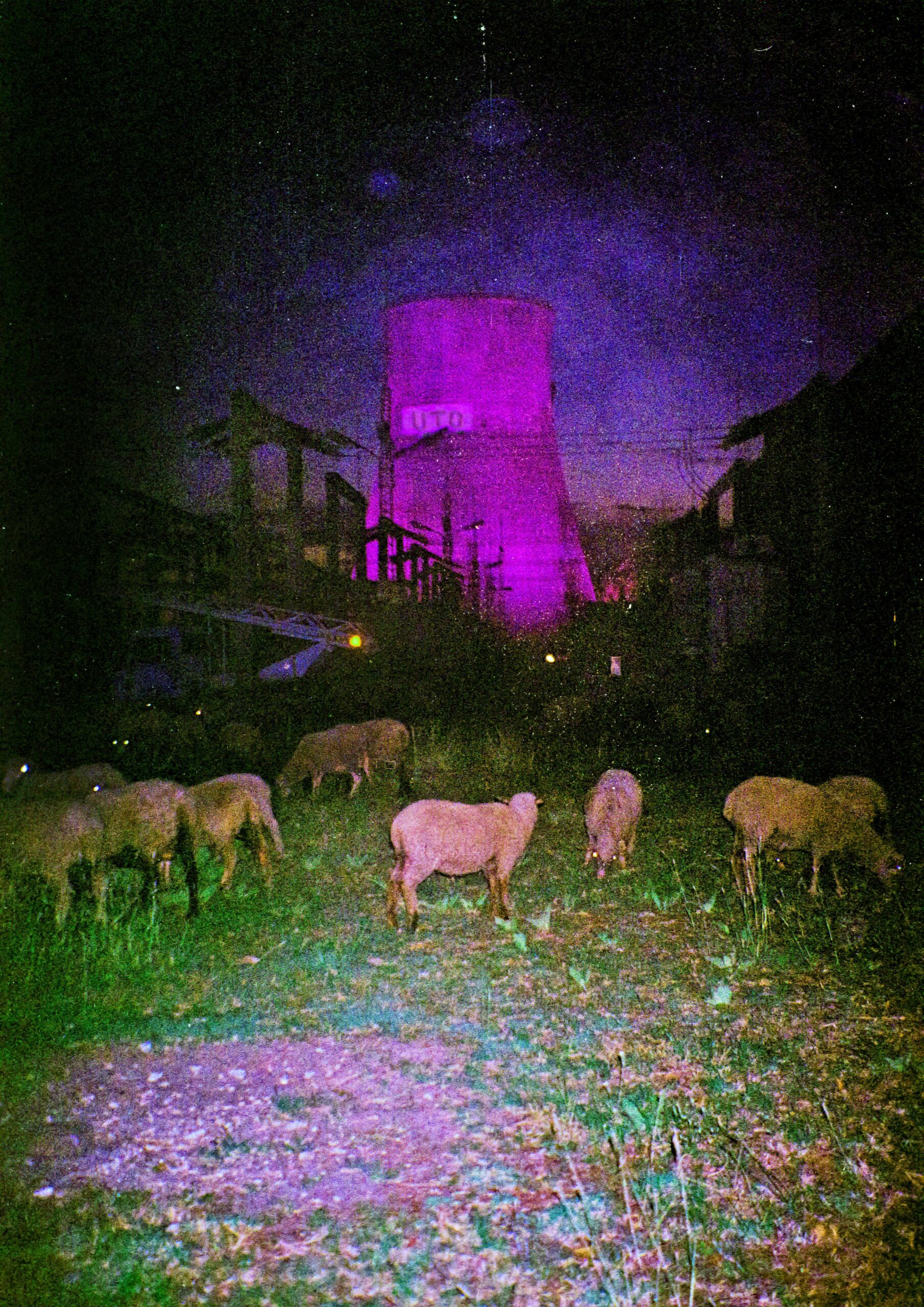 Urša Rahne x UTO (appointMENT 8.0)