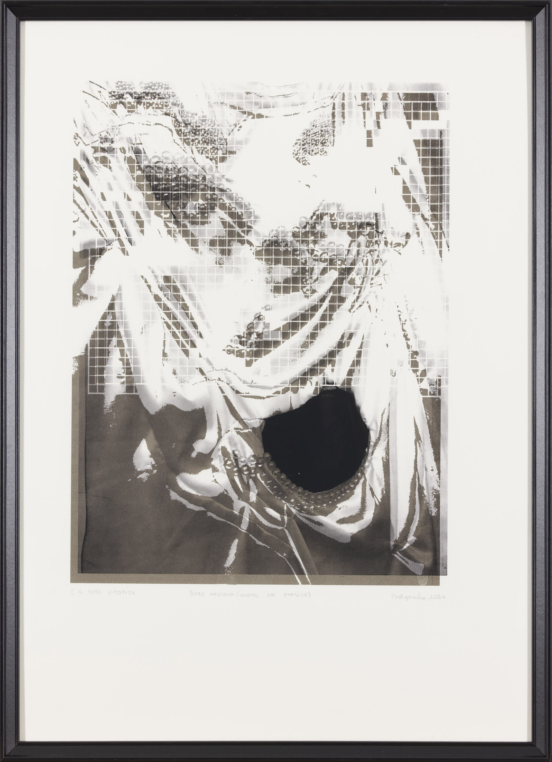 Ajda Podgorelec: Brez naslova (vzorci za prasice) (z okvirjem)