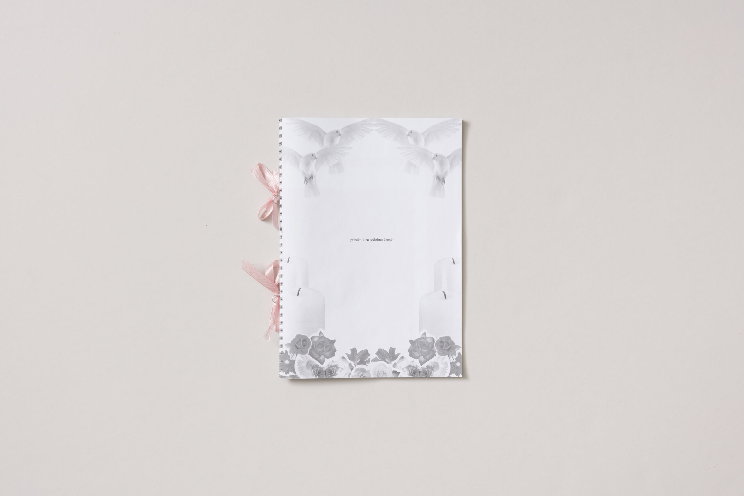 Hana Besjedica in Hana Jelovšek: Priročnik za sodobno žensko