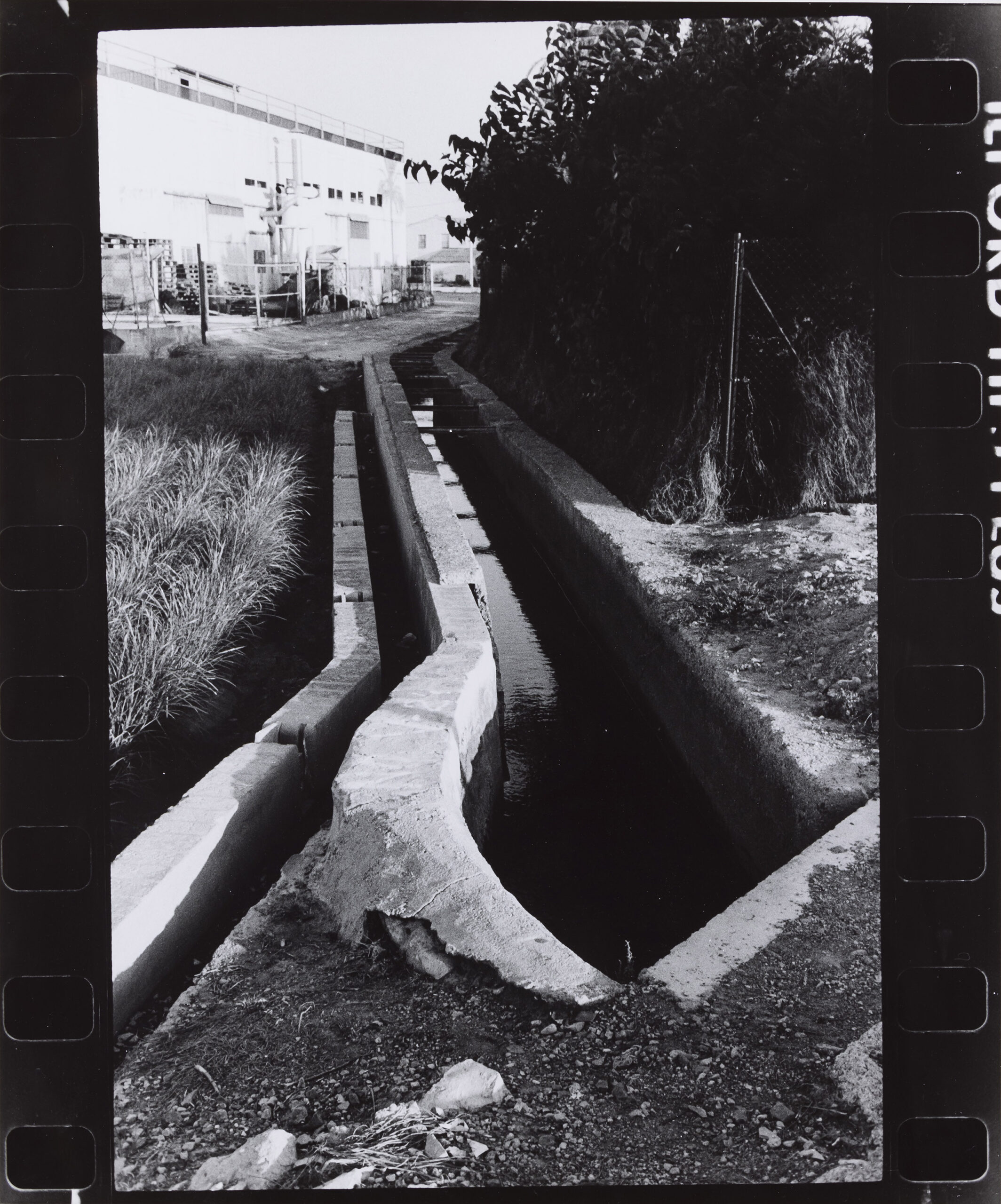 Jernej Šimec: Jarek