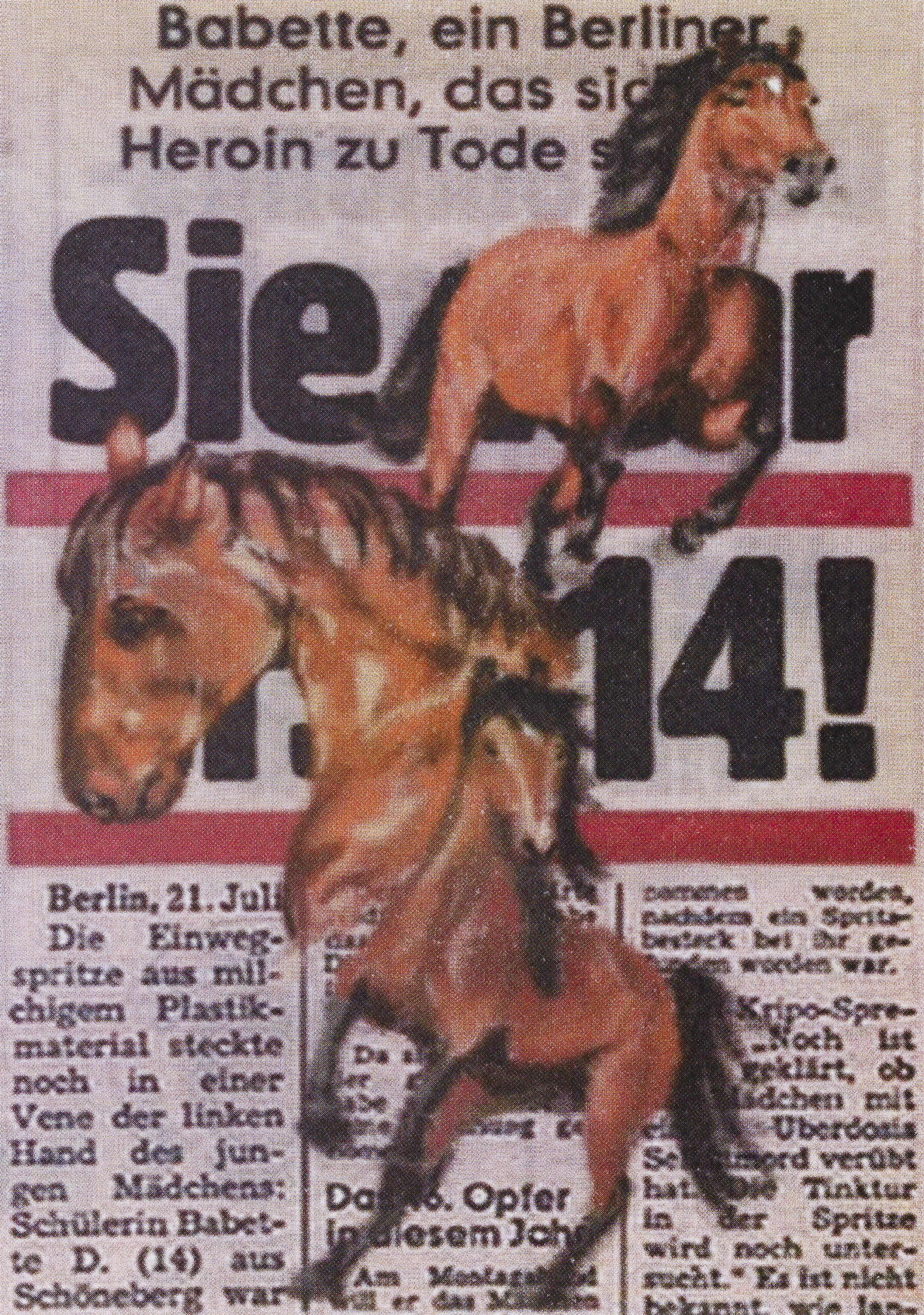 Julija Brajnik Volčič: Narcisizem