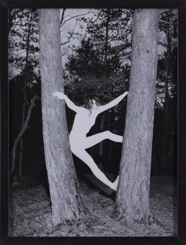 Kaja Gorjup: Words I never said II.