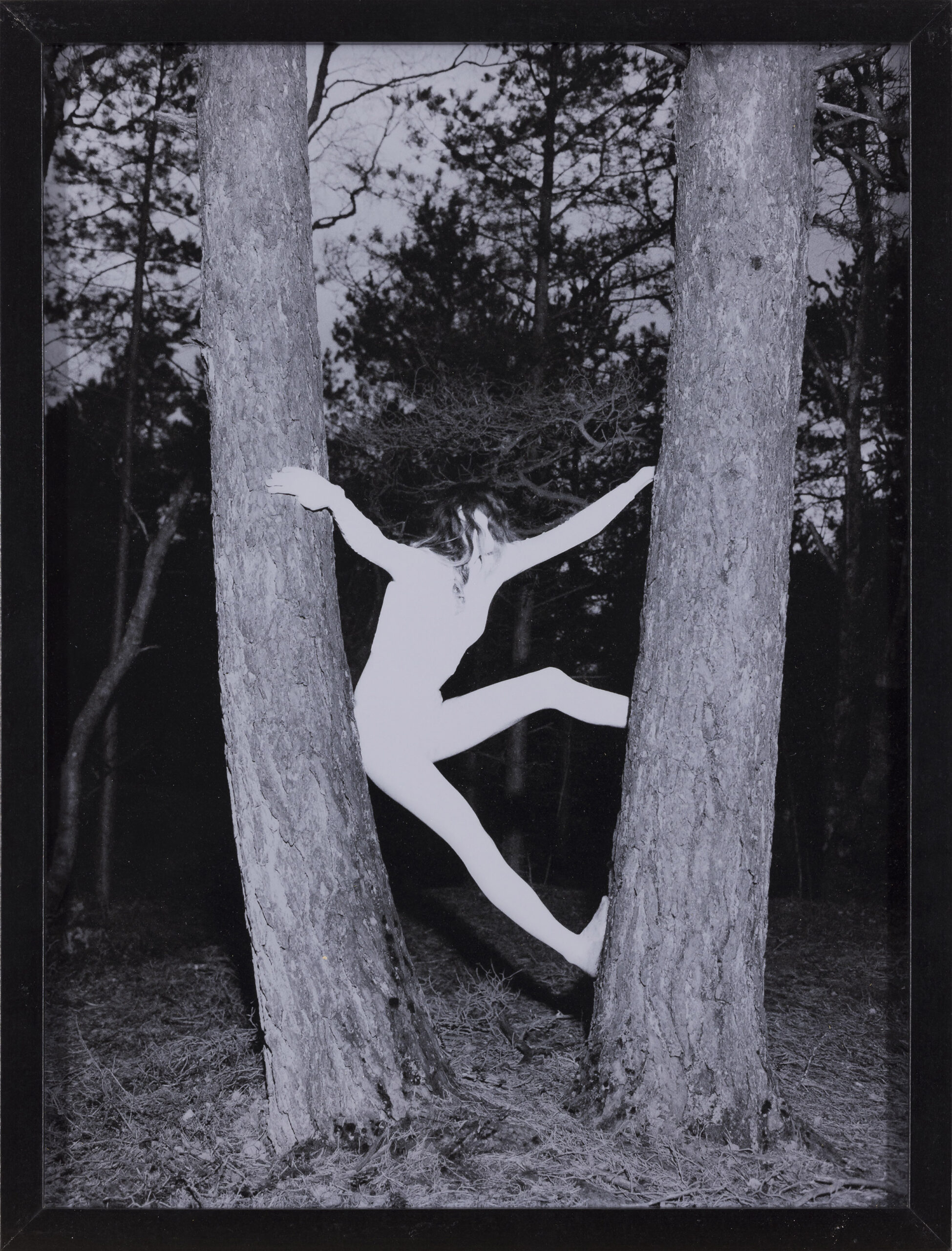 Kaja Gorjup: Words I never said I