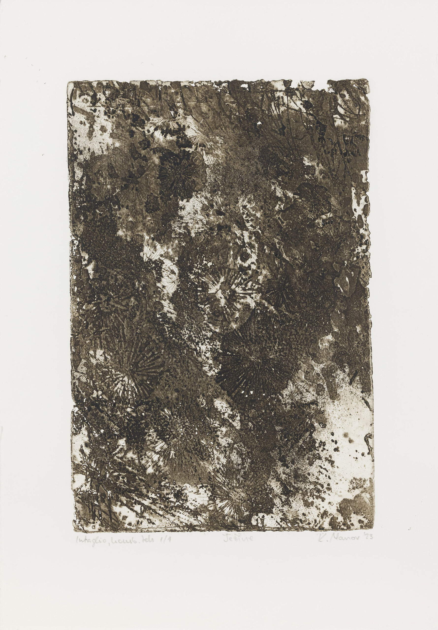 Katarina Marov: Ježine