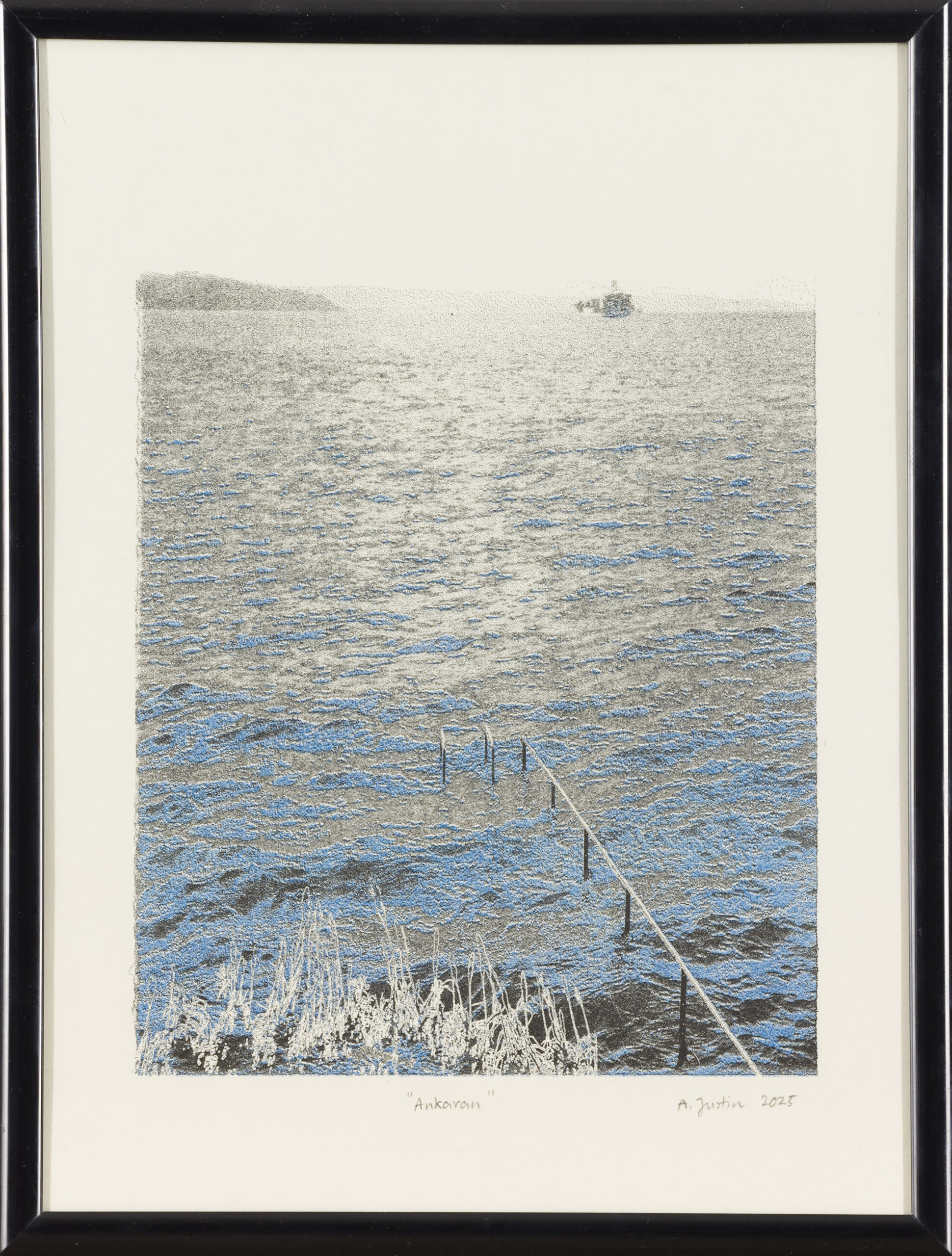 Ajda Justin: Ankaran