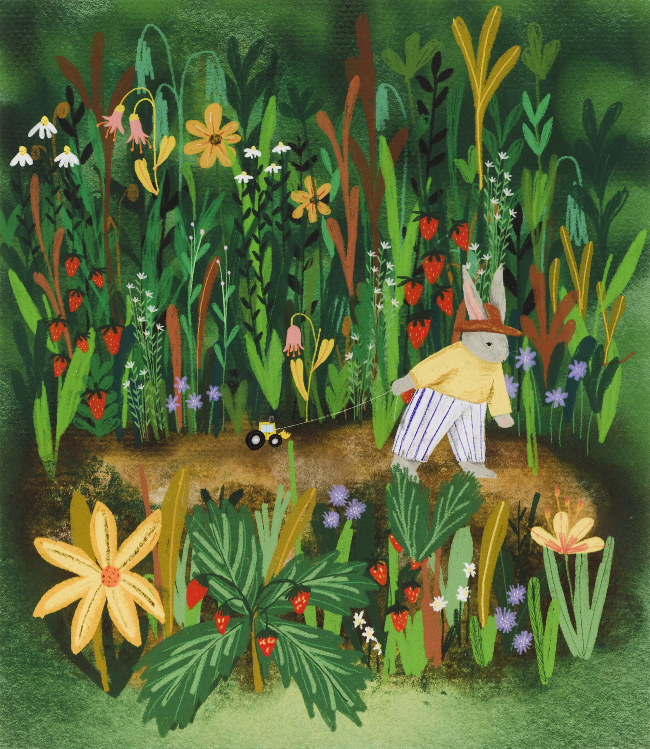 Alin Kostiov: Zajček